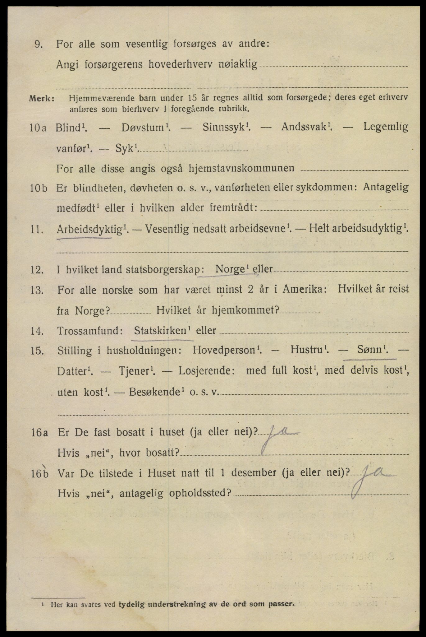 SAKO, 1920 census for Kragerø, 1920, p. 9036