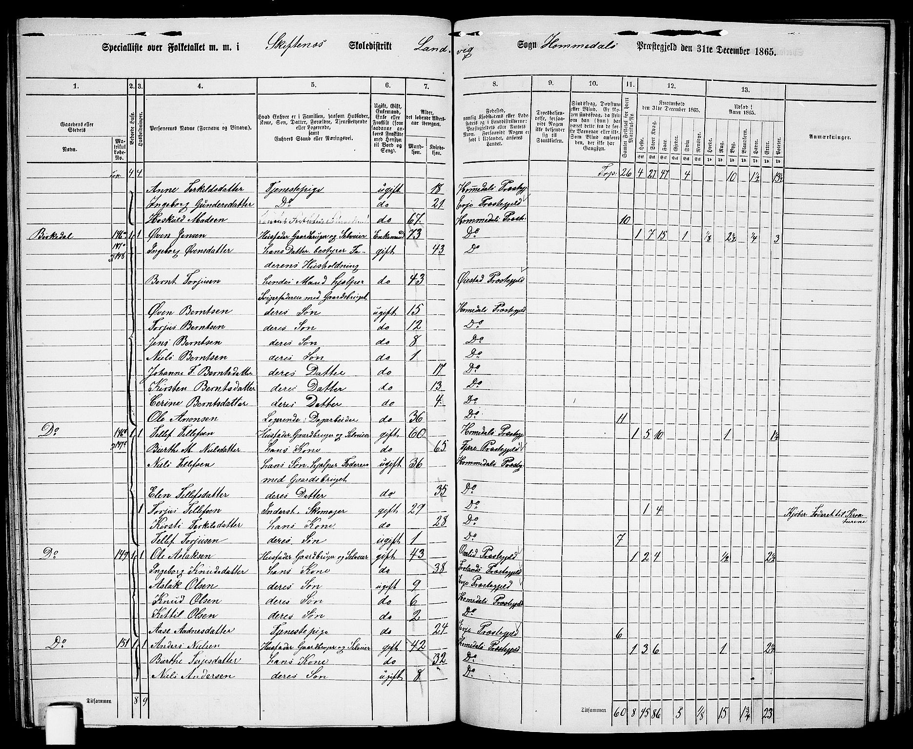 RA, 1865 census for Homedal, 1865, p. 126