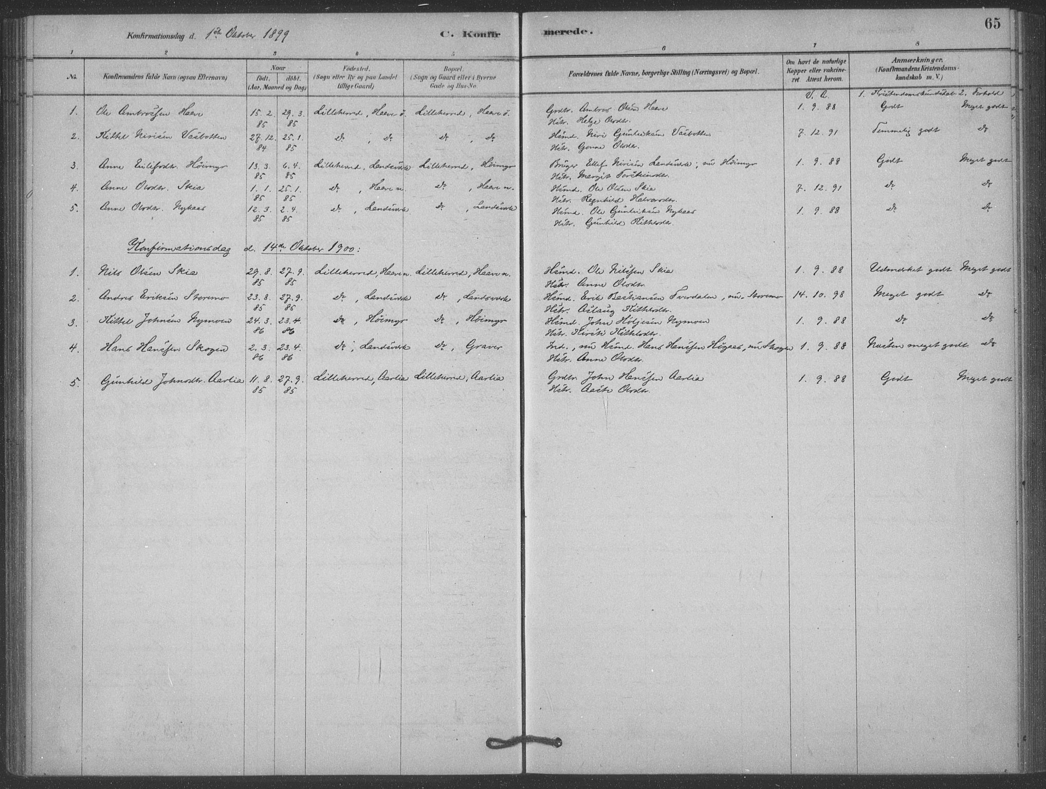 Heddal kirkebøker, SAKO/A-268/F/Fb/L0002: Parish register (official) no. II 2, 1878-1913, p. 65
