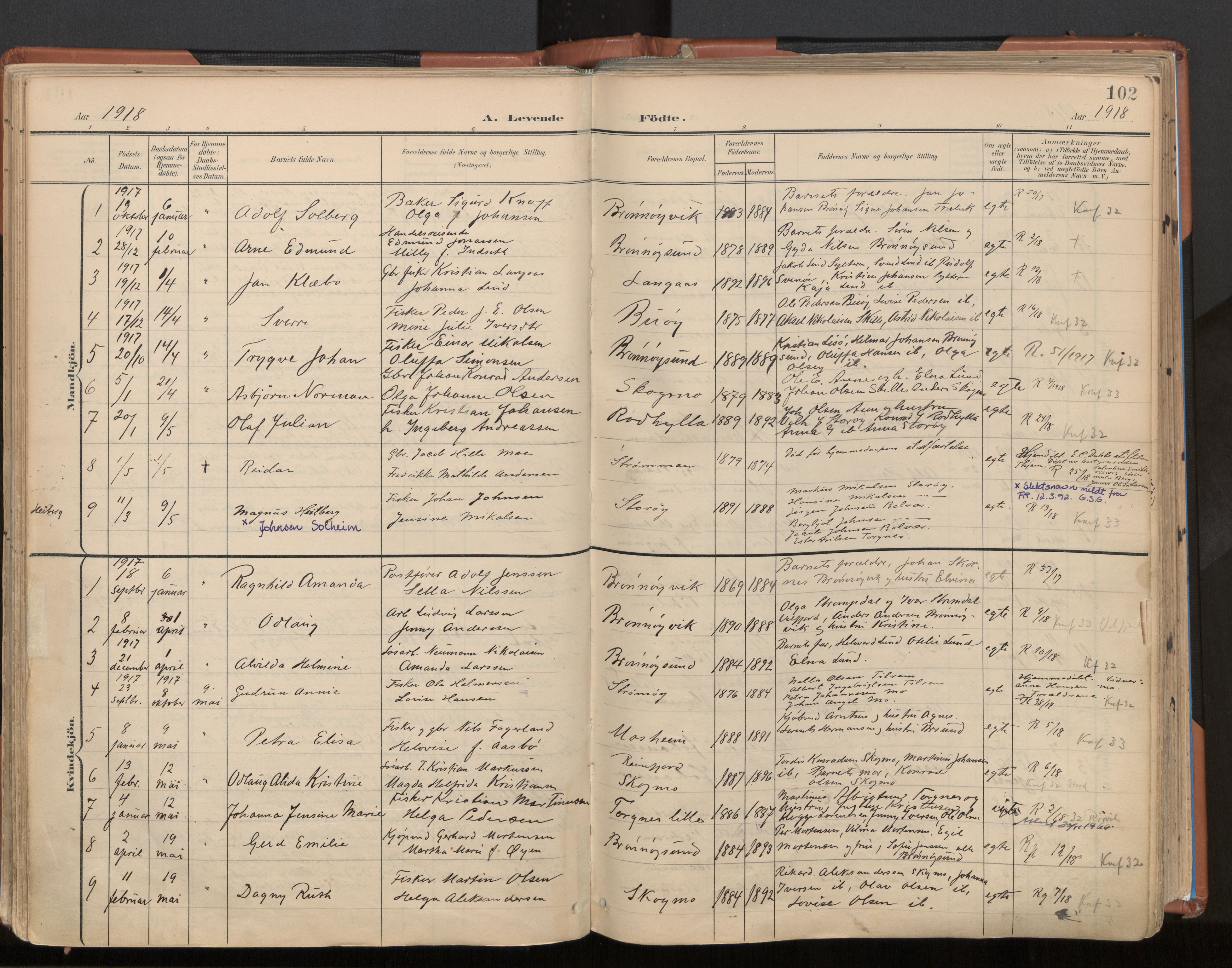 Ministerialprotokoller, klokkerbøker og fødselsregistre - Nordland, AV/SAT-A-1459/813/L0201: Parish register (official) no. 813A11, 1901-1918, p. 102