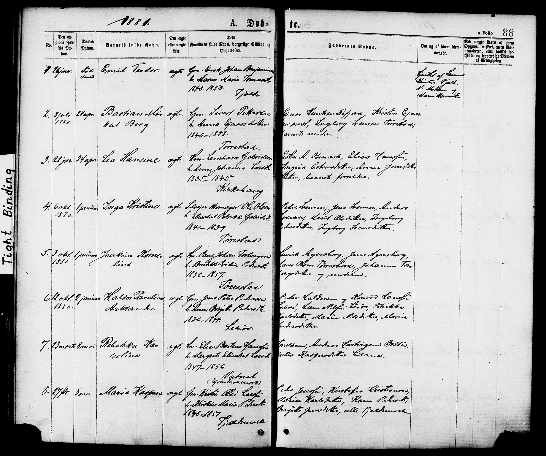 Ministerialprotokoller, klokkerbøker og fødselsregistre - Nordland, SAT/A-1459/863/L0897: Parish register (official) no. 863A09, 1872-1886, p. 88