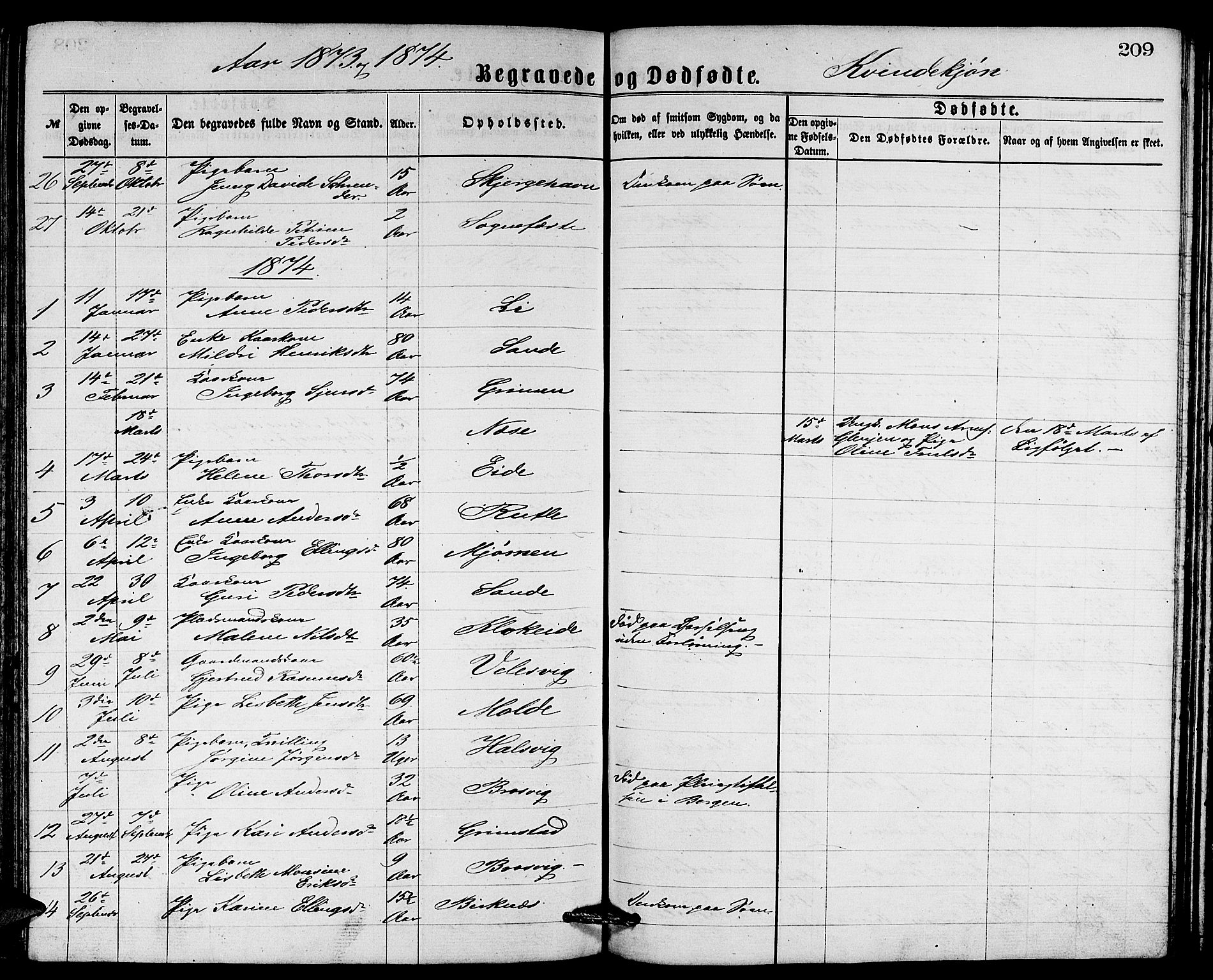 Gulen sokneprestembete, SAB/A-80201/H/Hab/Habb/L0002: Parish register (copy) no. B 2, 1867-1883, p. 209