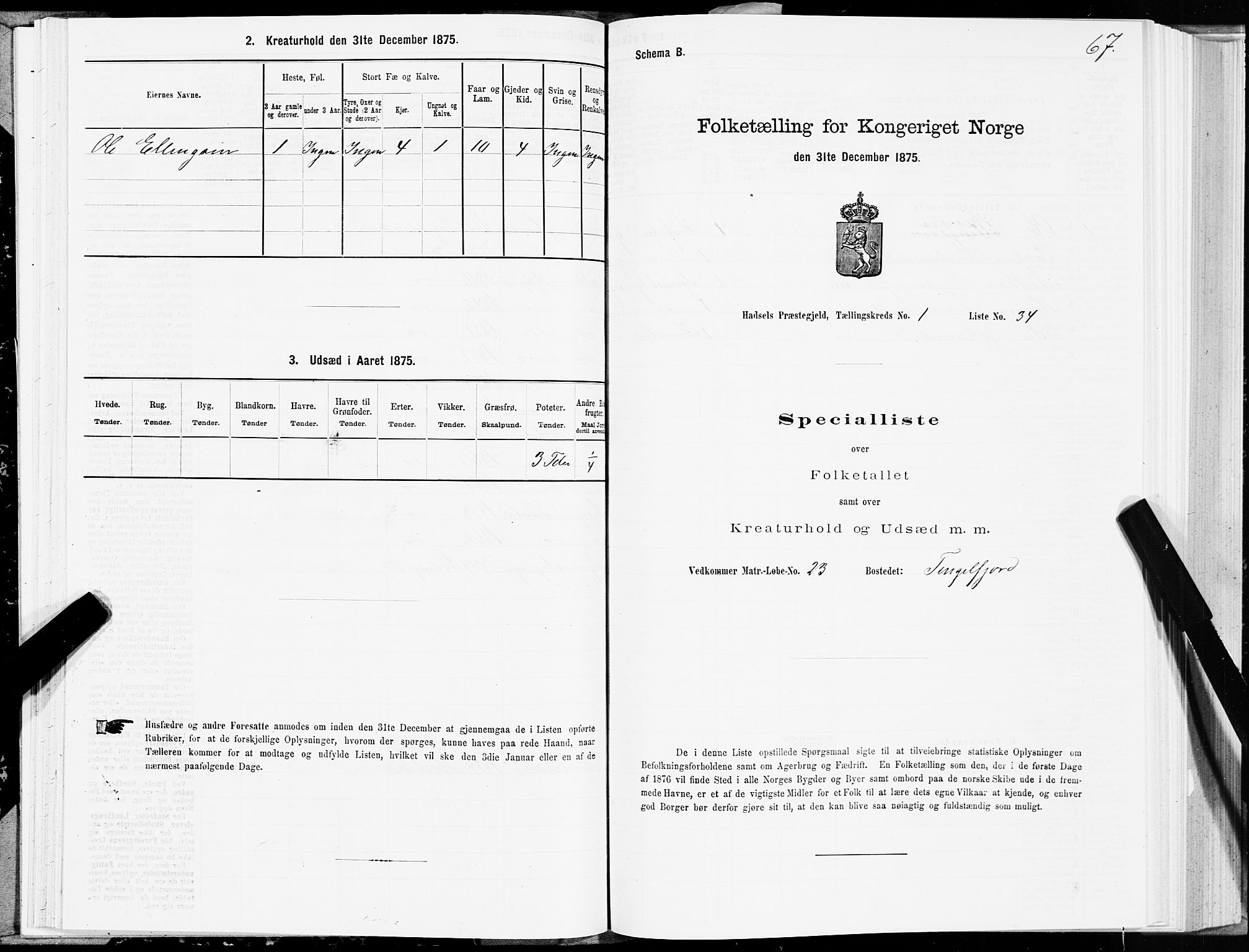 SAT, 1875 census for 1866P Hadsel, 1875, p. 1067