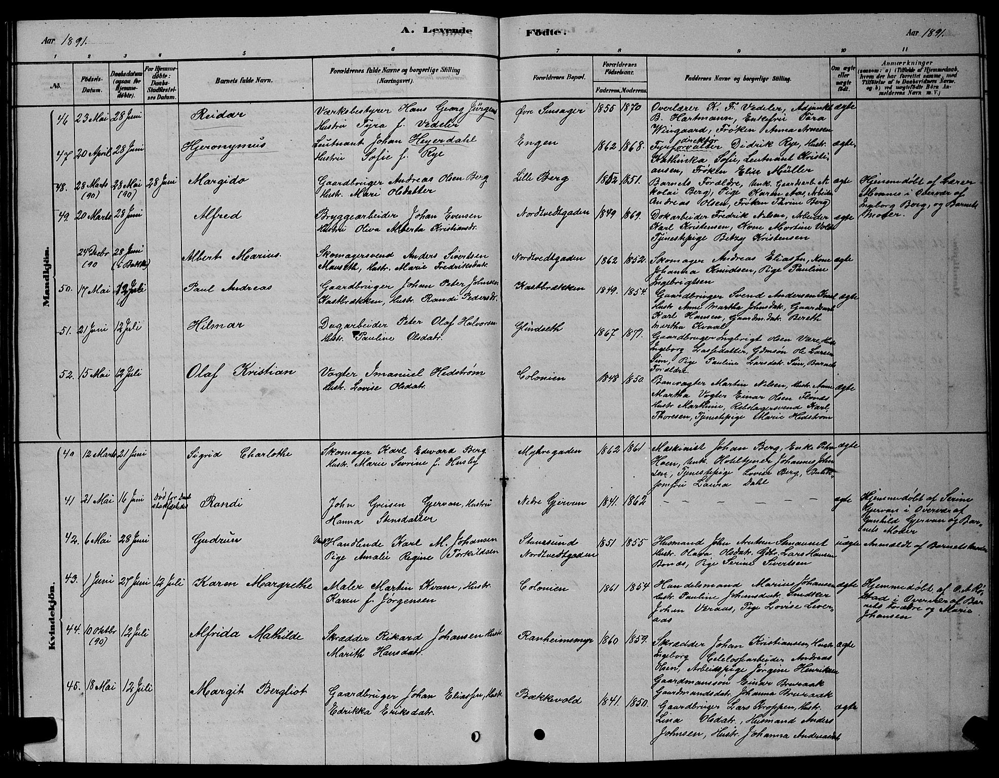 Ministerialprotokoller, klokkerbøker og fødselsregistre - Sør-Trøndelag, AV/SAT-A-1456/606/L0312: Parish register (copy) no. 606C08, 1878-1894