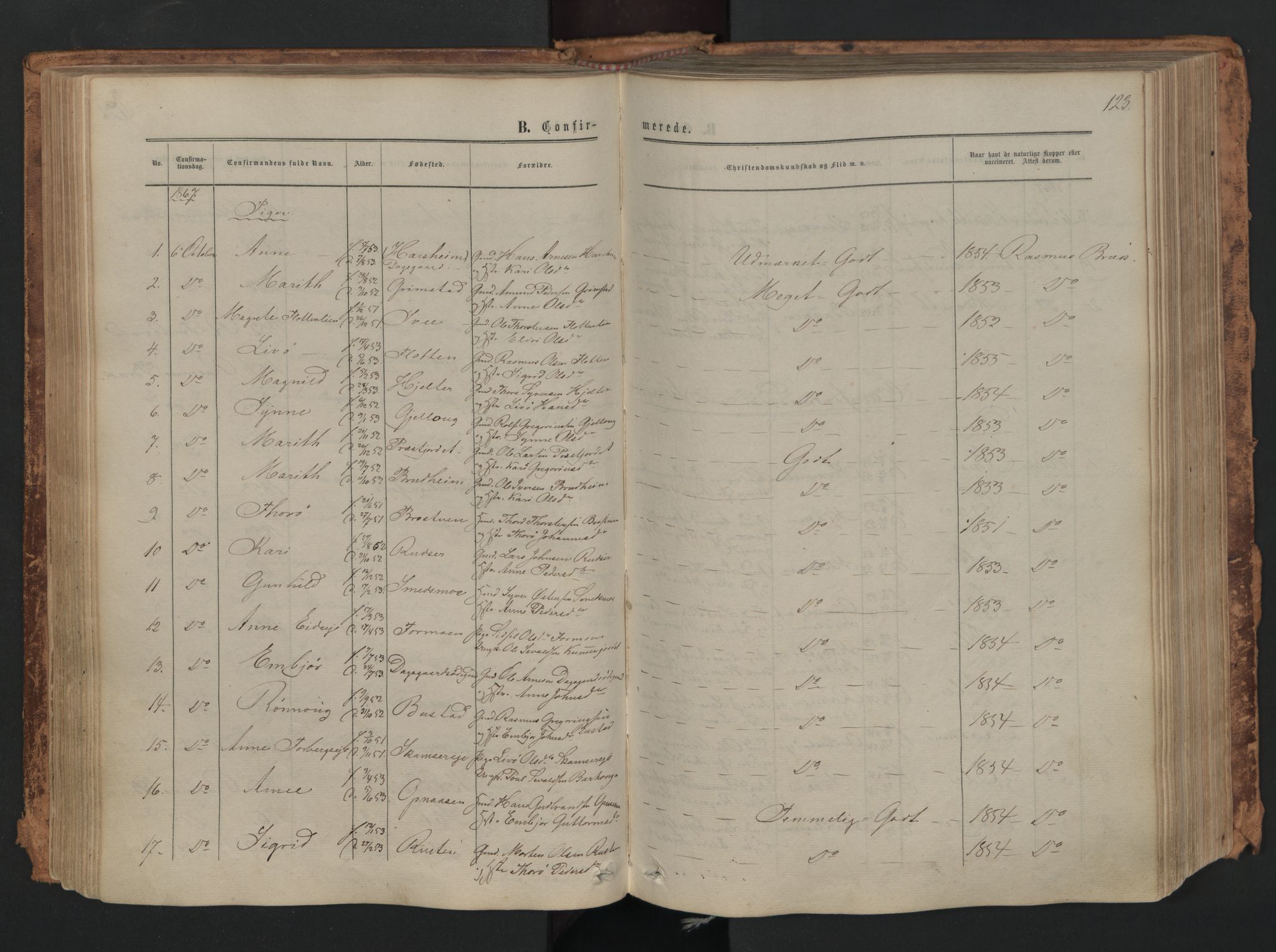 Skjåk prestekontor, SAH/PREST-072/H/Ha/Haa/L0001: Parish register (official) no. 1, 1863-1879, p. 123