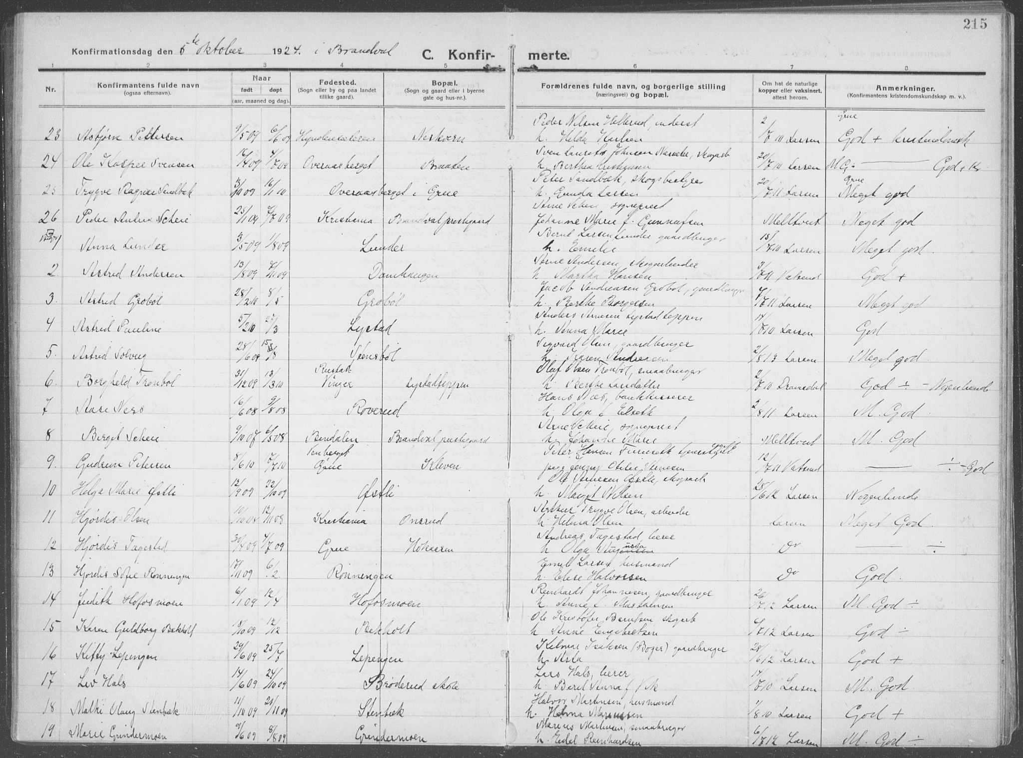 Brandval prestekontor, AV/SAH-PREST-034/H/Ha/Haa/L0004: Parish register (official) no. 4, 1910-1924, p. 215