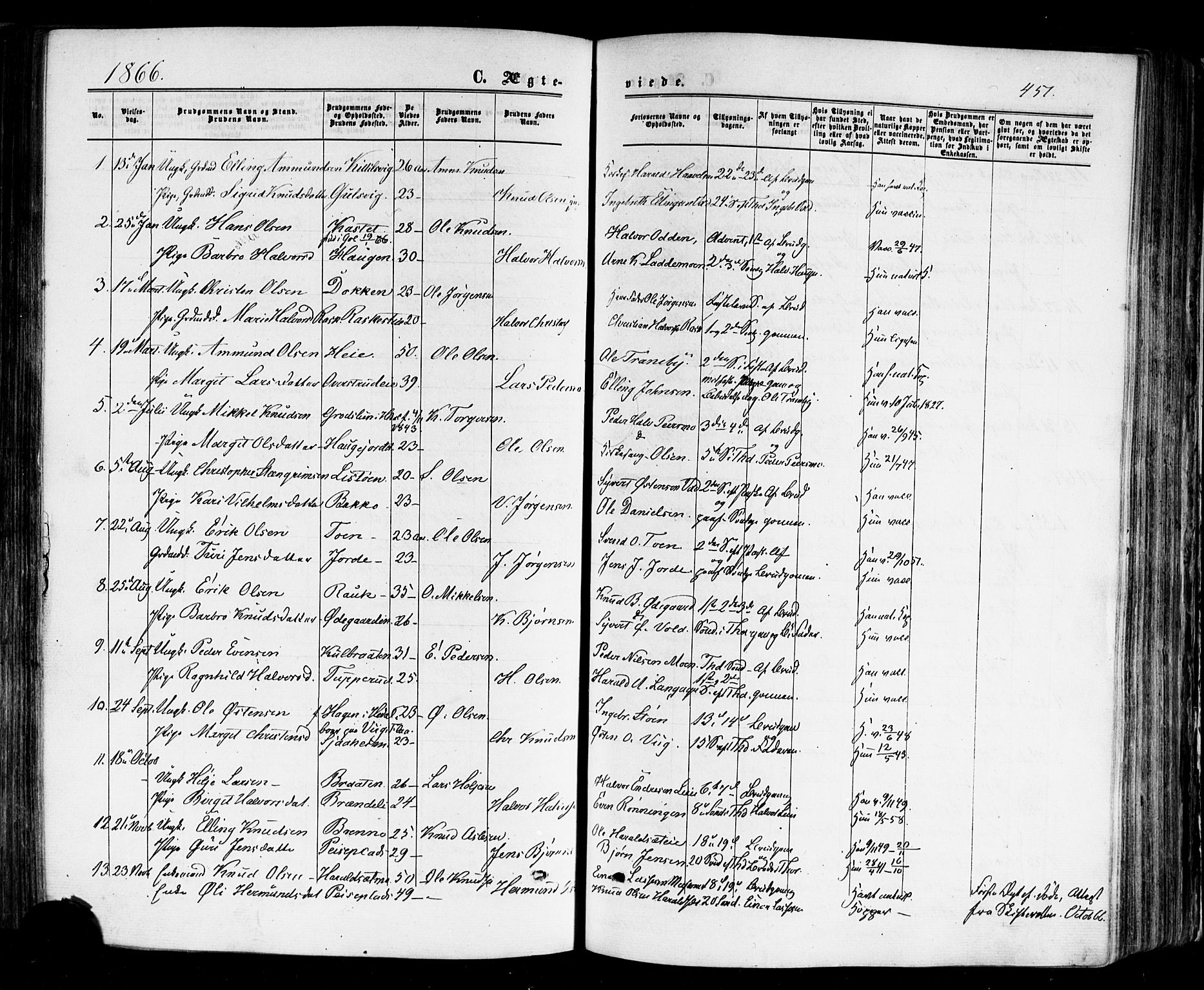 Nes kirkebøker, SAKO/A-236/F/Fa/L0010: Parish register (official) no. 10, 1864-1880, p. 451