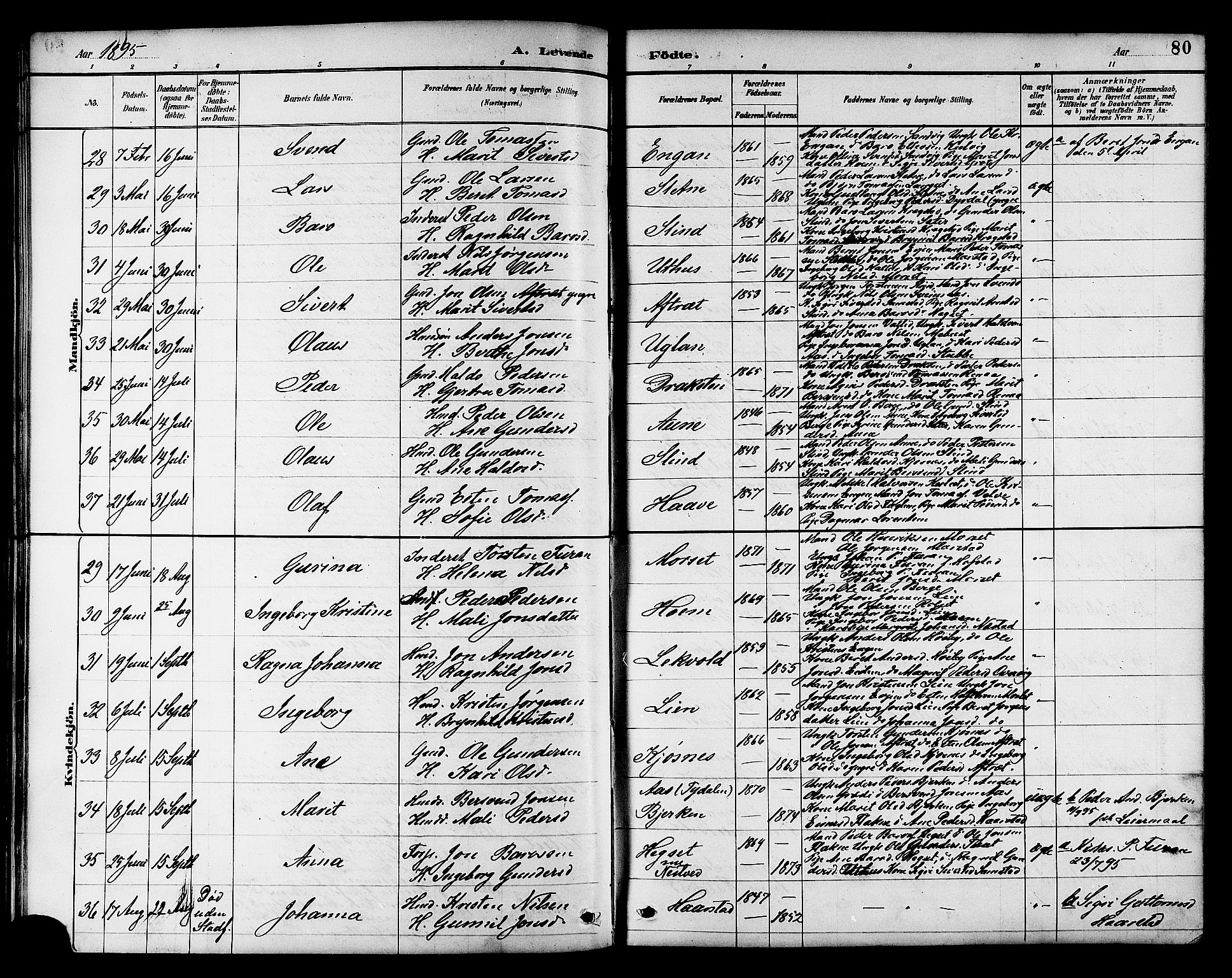 Ministerialprotokoller, klokkerbøker og fødselsregistre - Sør-Trøndelag, AV/SAT-A-1456/695/L1157: Parish register (copy) no. 695C08, 1889-1913, p. 80