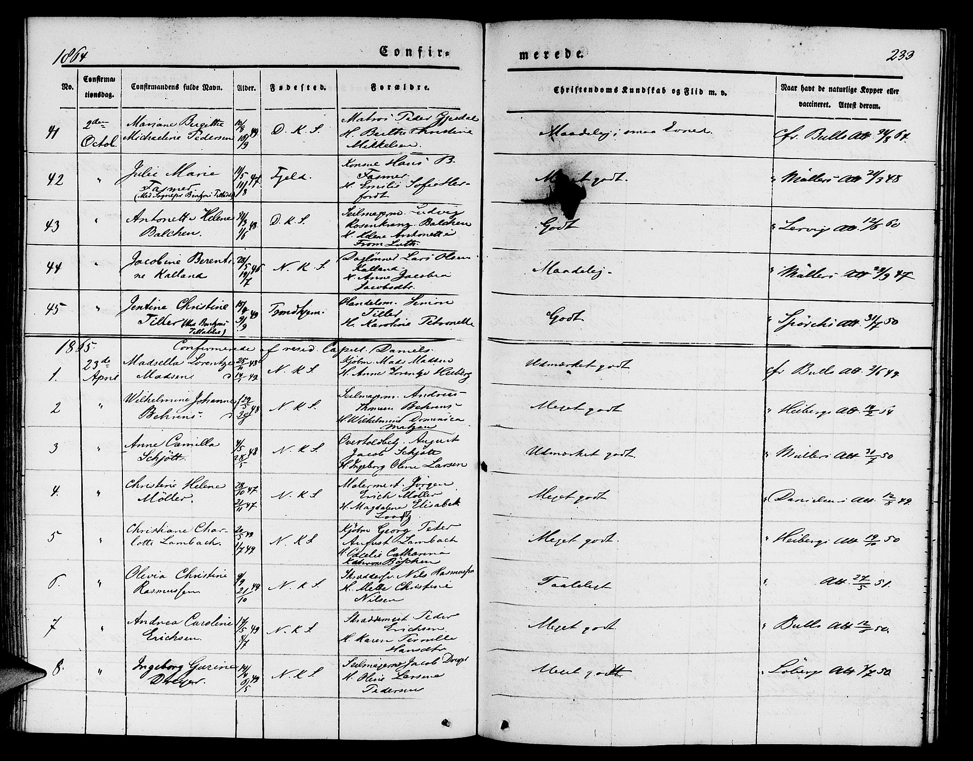Nykirken Sokneprestembete, SAB/A-77101/H/Hab: Parish register (copy) no. C 1, 1844-1871, p. 233