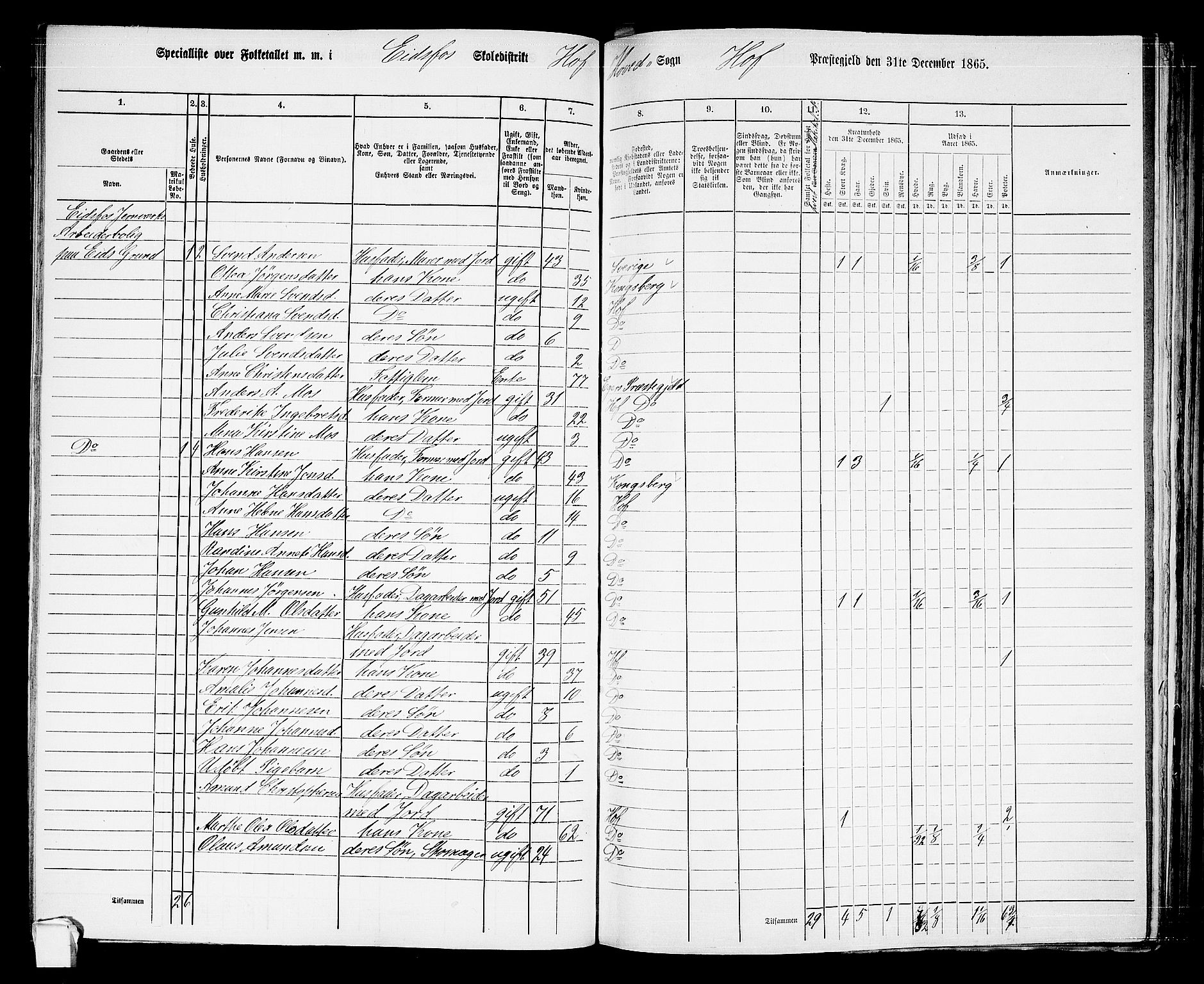 RA, 1865 census for Hof, 1865, p. 90