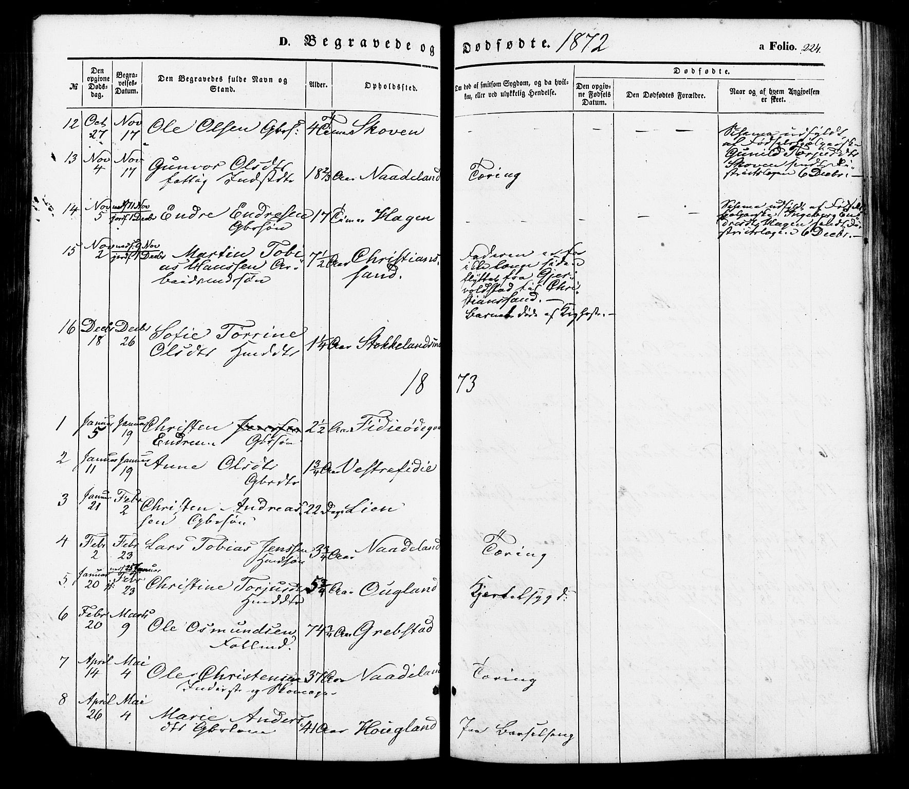 Søgne sokneprestkontor, AV/SAK-1111-0037/F/Fa/Faa/L0002: Parish register (official) no. A 2, 1854-1882, p. 224