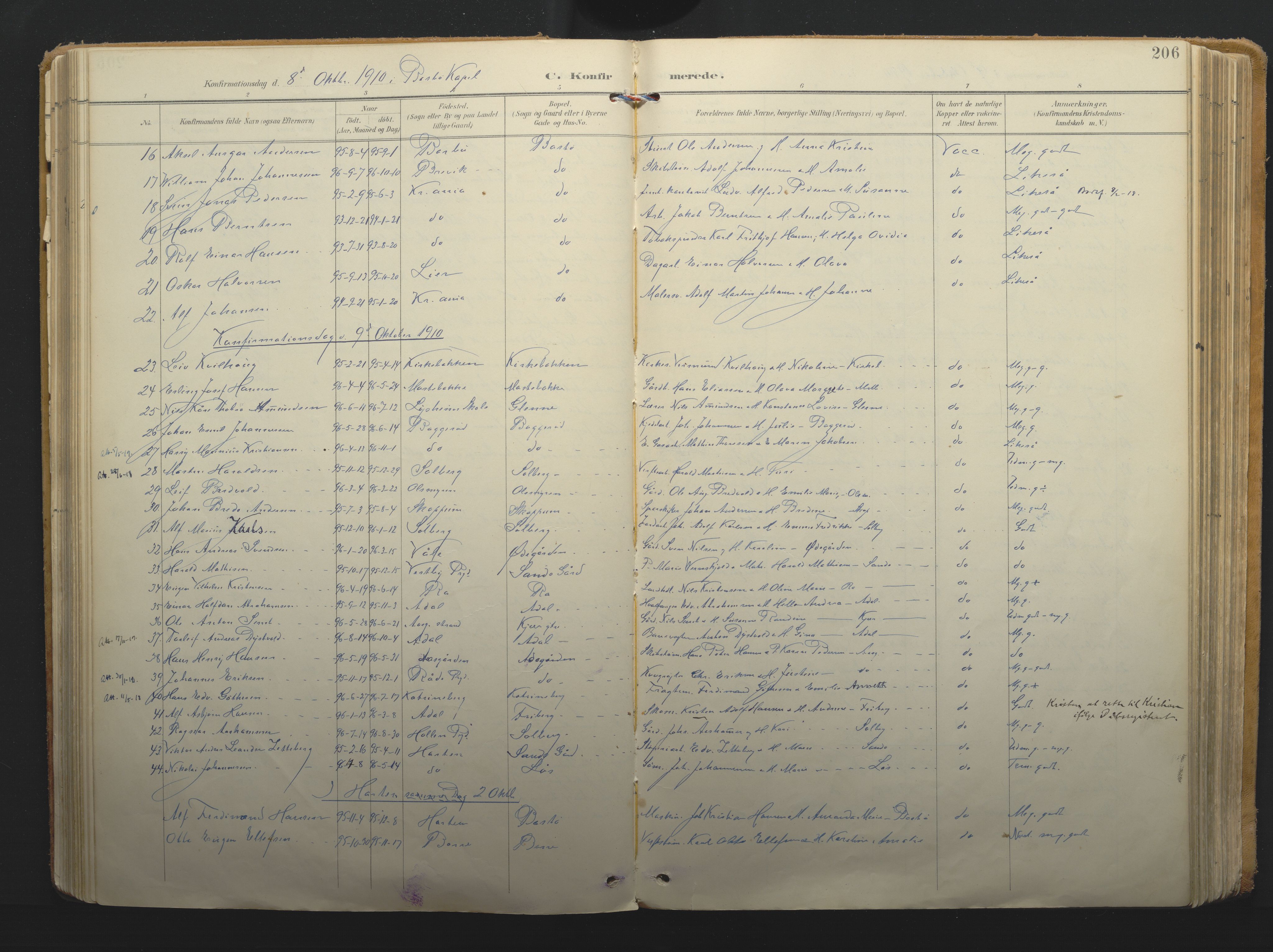 Borre kirkebøker, AV/SAKO-A-338/F/Fa/L0011: Parish register (official) no. I 11, 1897-1921, p. 206