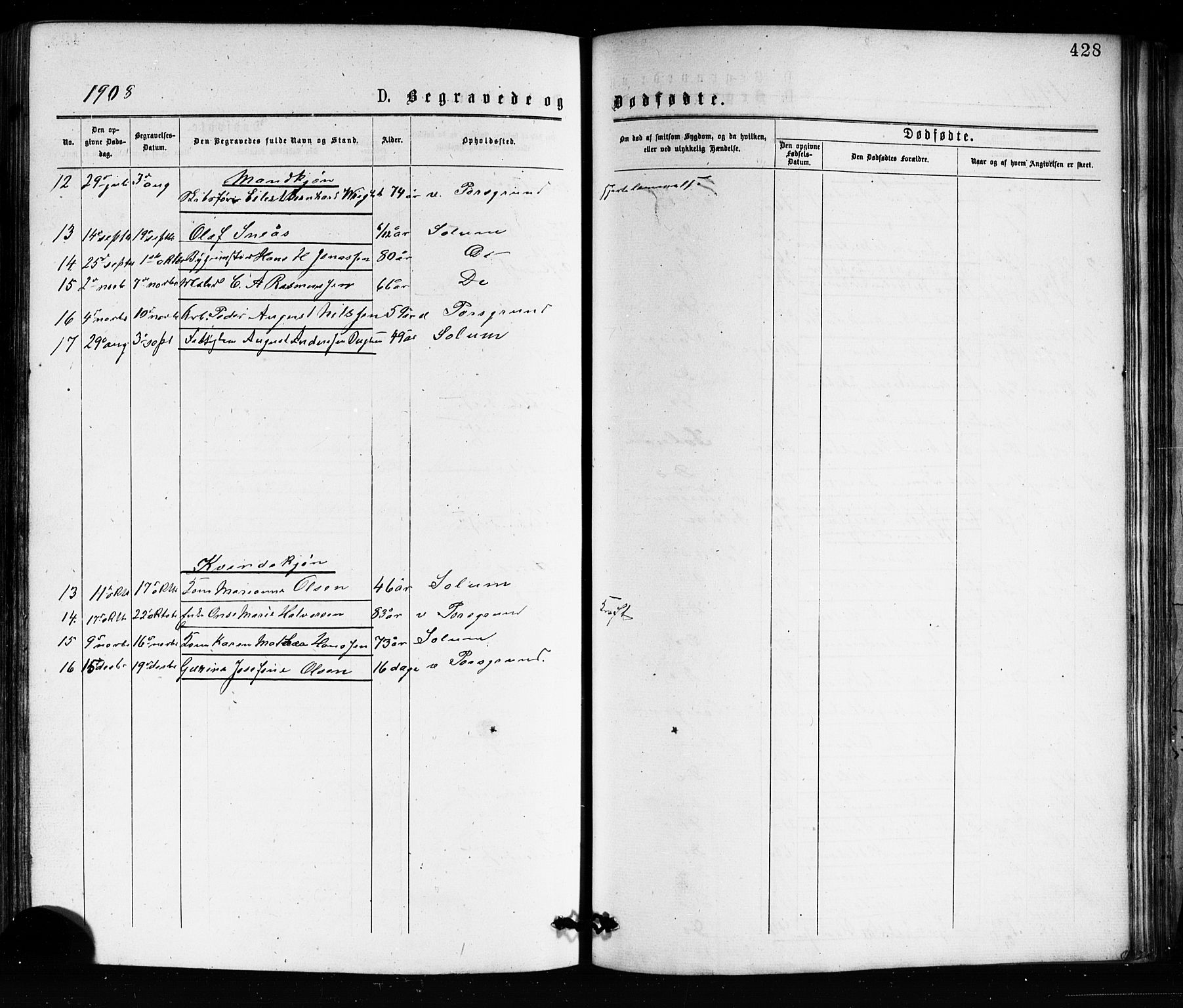 Porsgrunn kirkebøker , AV/SAKO-A-104/G/Ga/L0003: Parish register (copy) no. I 3, 1877-1915, p. 428