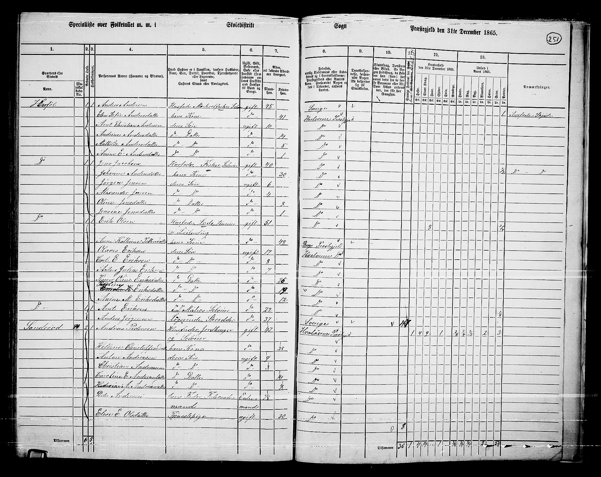 RA, 1865 census for Hvaler, 1865, p. 85