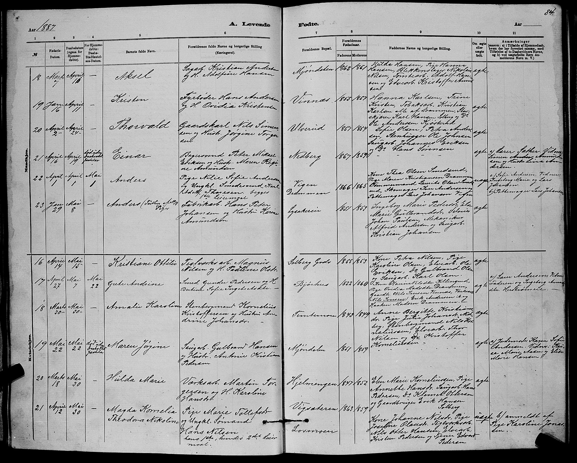 Nedre Eiker kirkebøker, AV/SAKO-A-612/G/Ga/L0002: Parish register (copy) no. 2, 1880-1896, p. 84