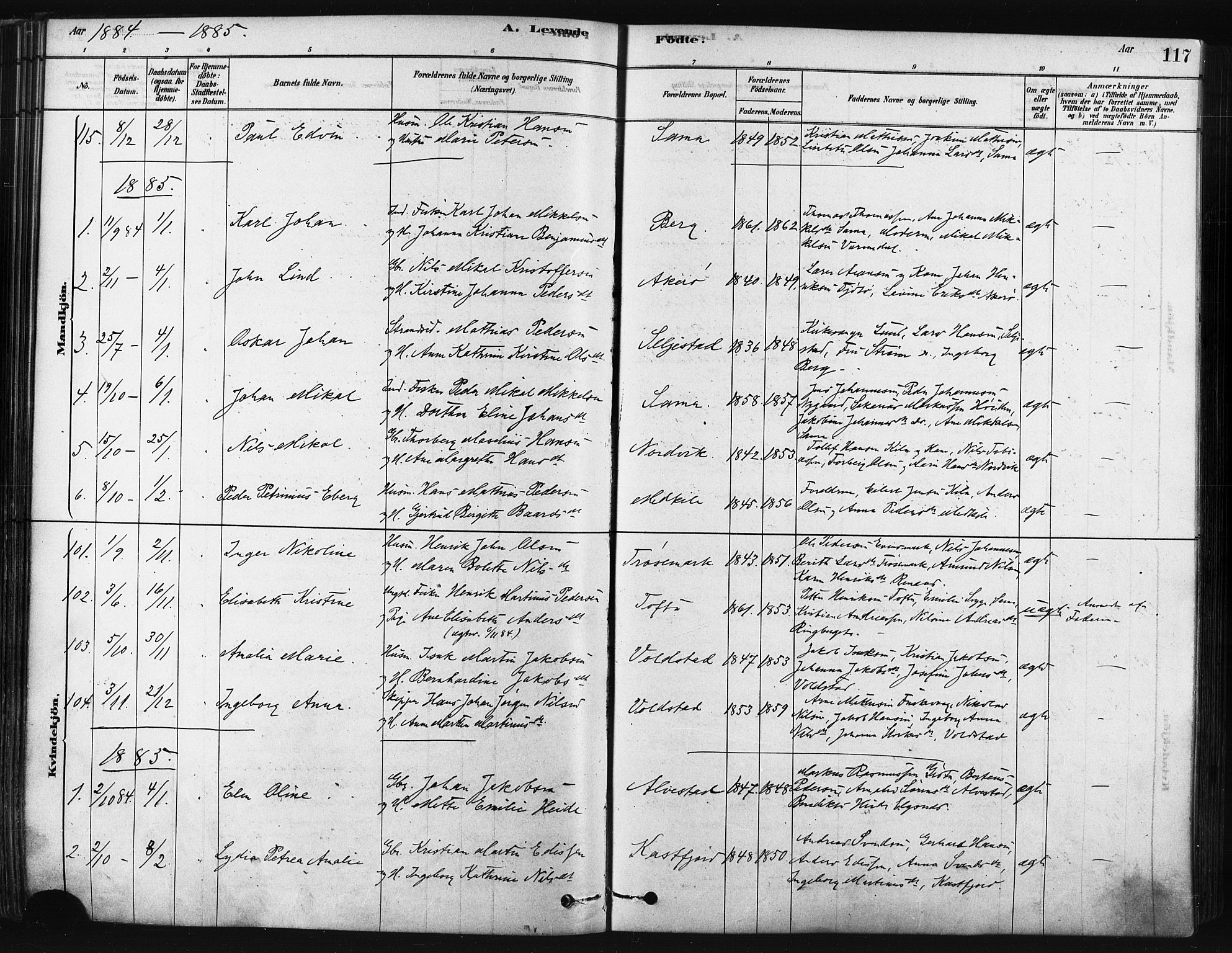 Trondenes sokneprestkontor, SATØ/S-1319/H/Ha/L0014kirke: Parish register (official) no. 14, 1878-1889, p. 117