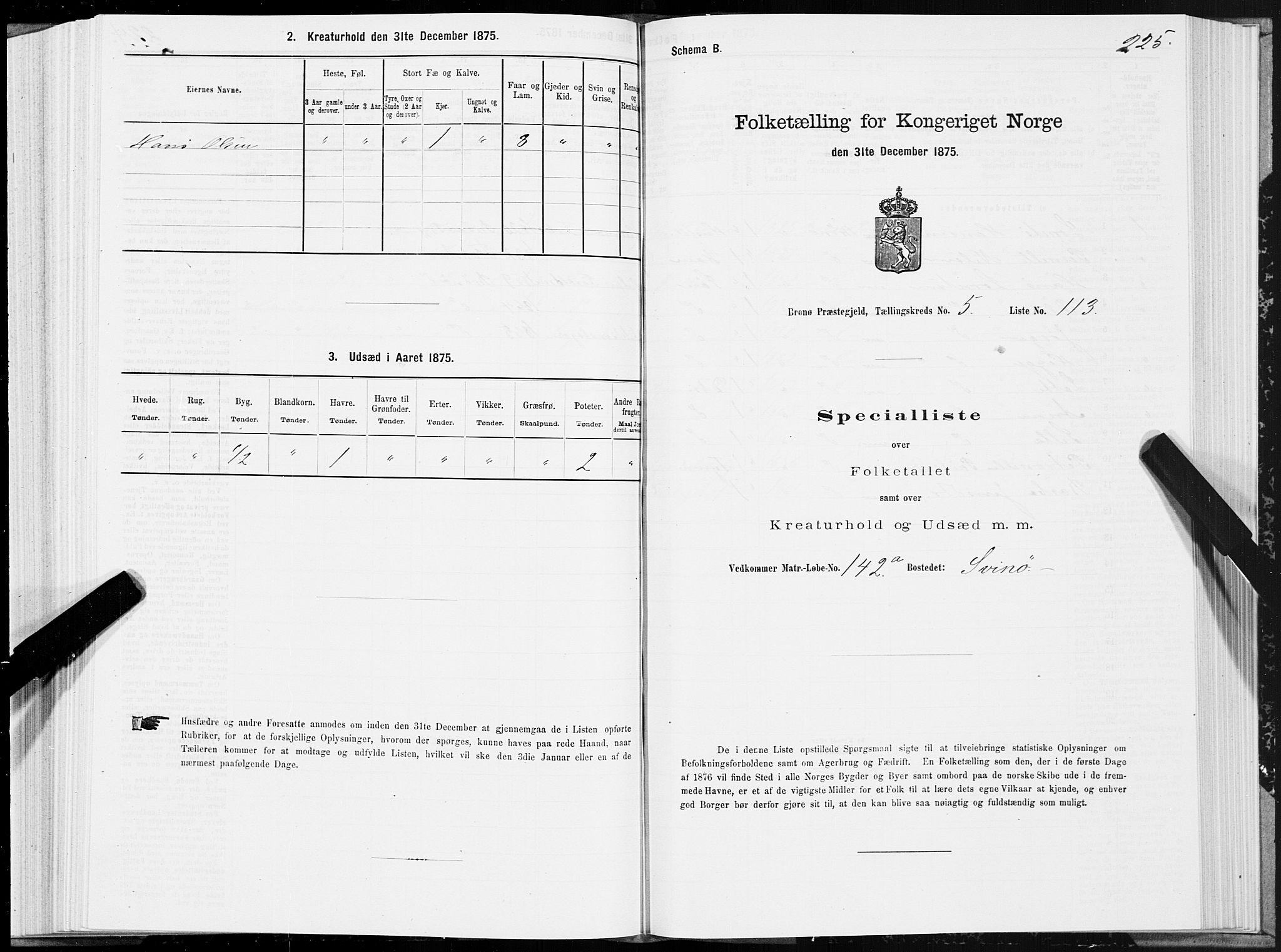 SAT, 1875 census for 1814P Brønnøy, 1875, p. 3225