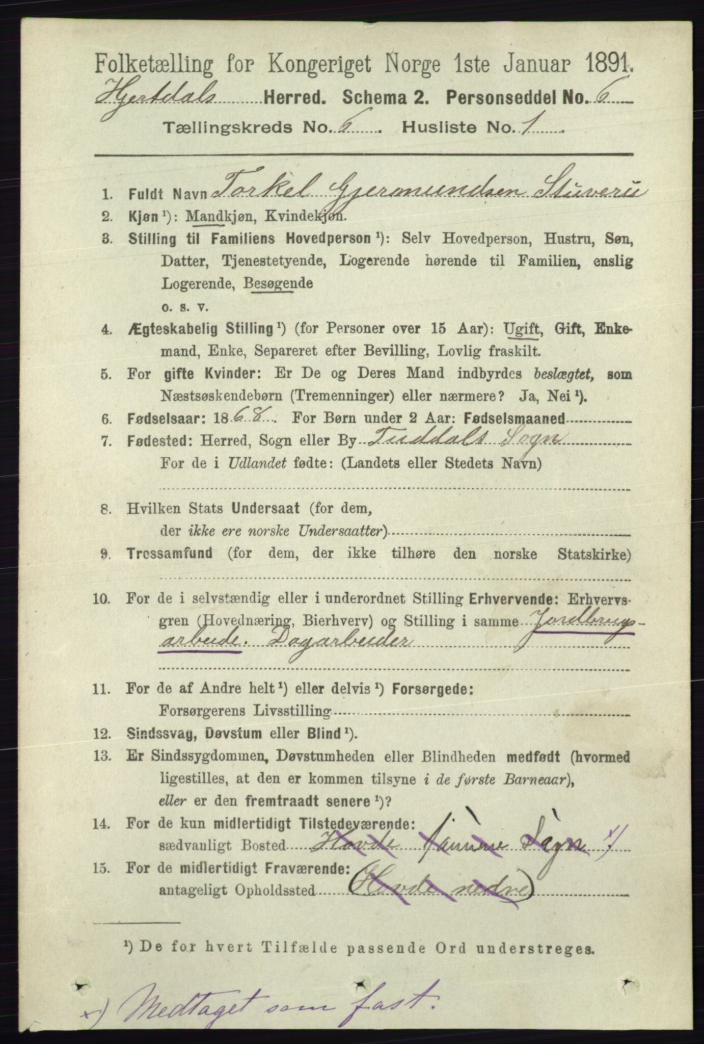 RA, 1891 census for 0827 Hjartdal, 1891, p. 2198