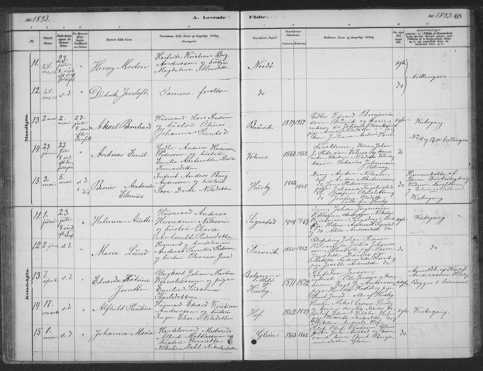 Ministerialprotokoller, klokkerbøker og fødselsregistre - Nordland, AV/SAT-A-1459/835/L0532: Parish register (copy) no. 835C04, 1880-1905, p. 68