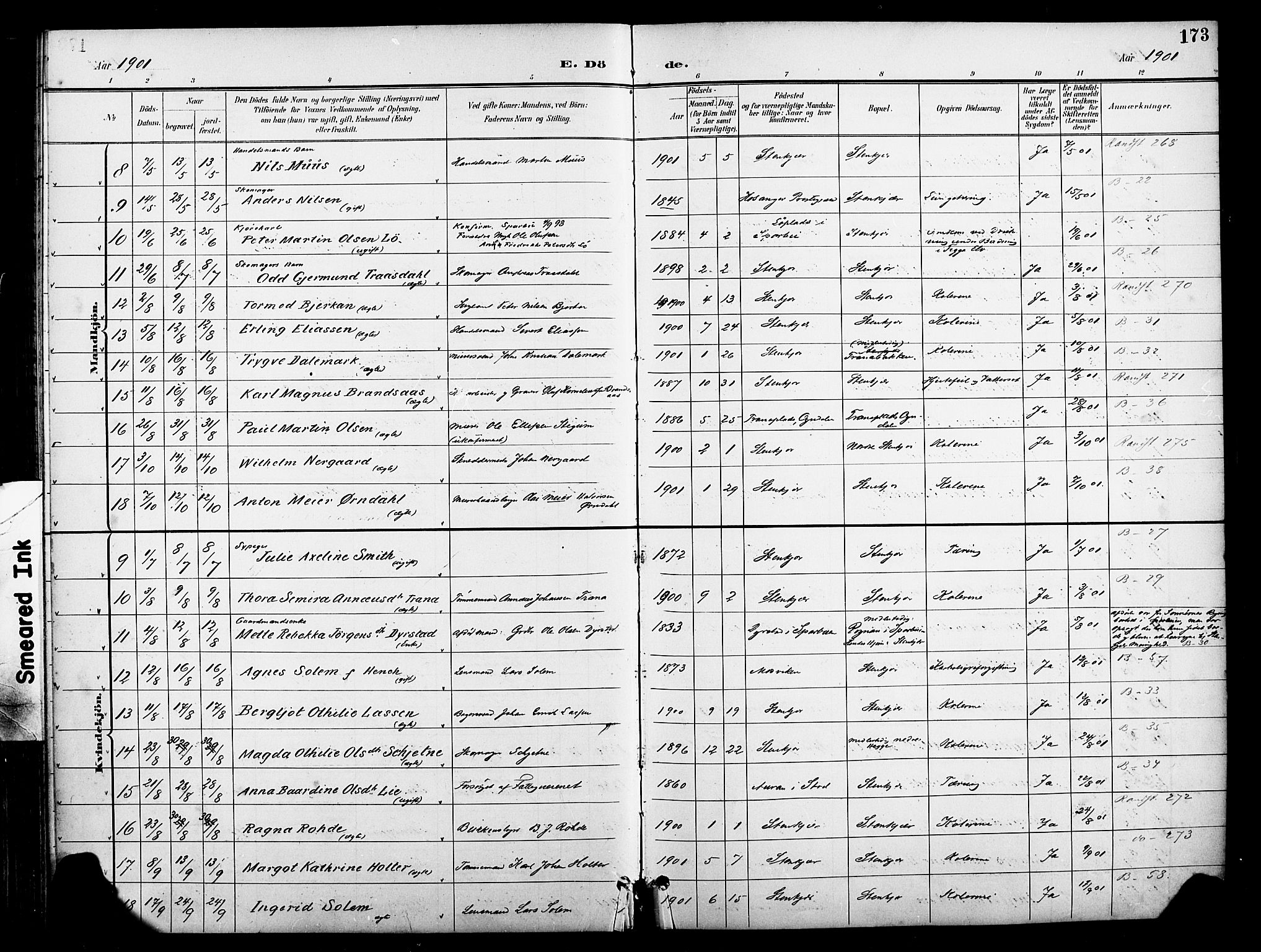 Ministerialprotokoller, klokkerbøker og fødselsregistre - Nord-Trøndelag, SAT/A-1458/739/L0372: Parish register (official) no. 739A04, 1895-1903, p. 173
