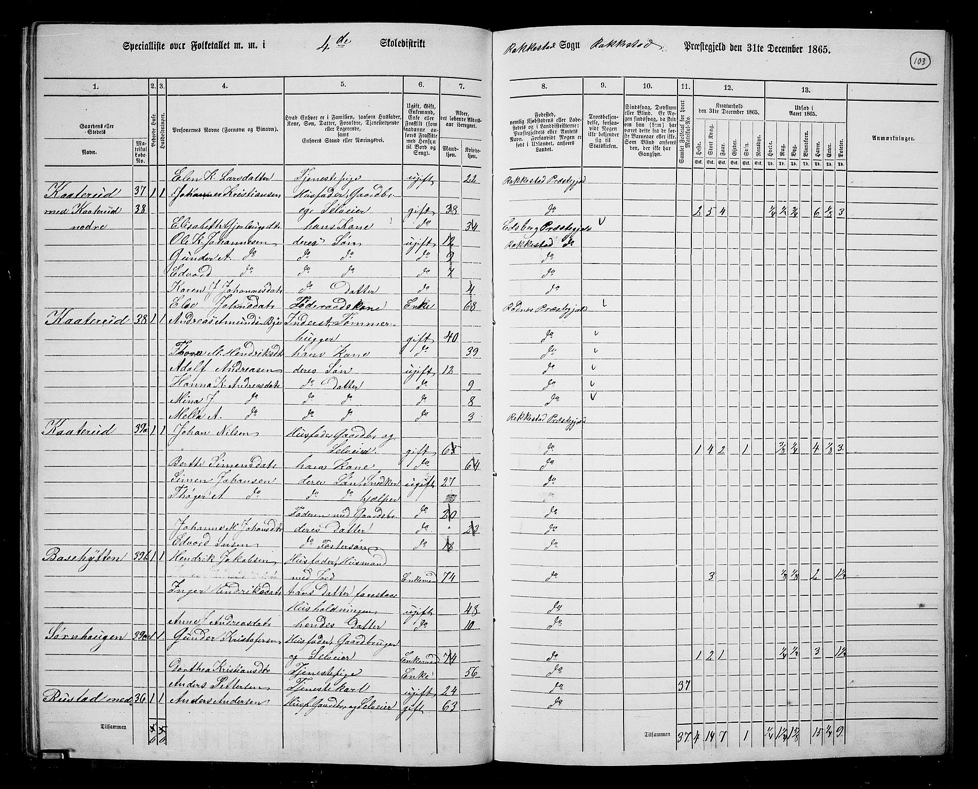 RA, 1865 census for Rakkestad, 1865, p. 101