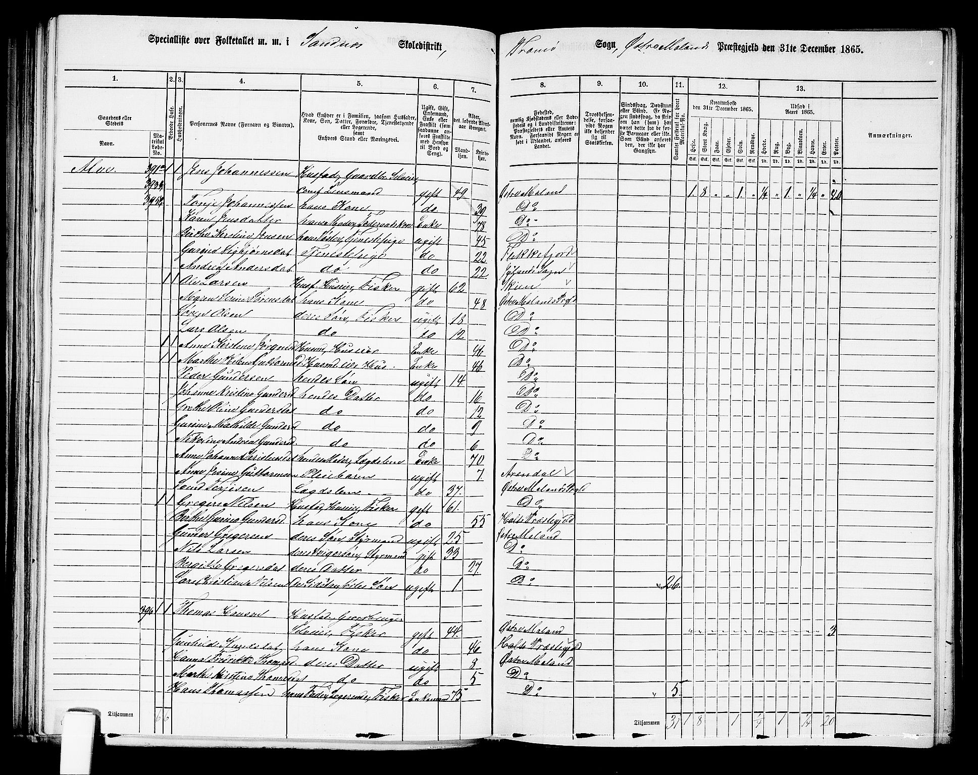 RA, 1865 census for Austre Moland, 1865, p. 208