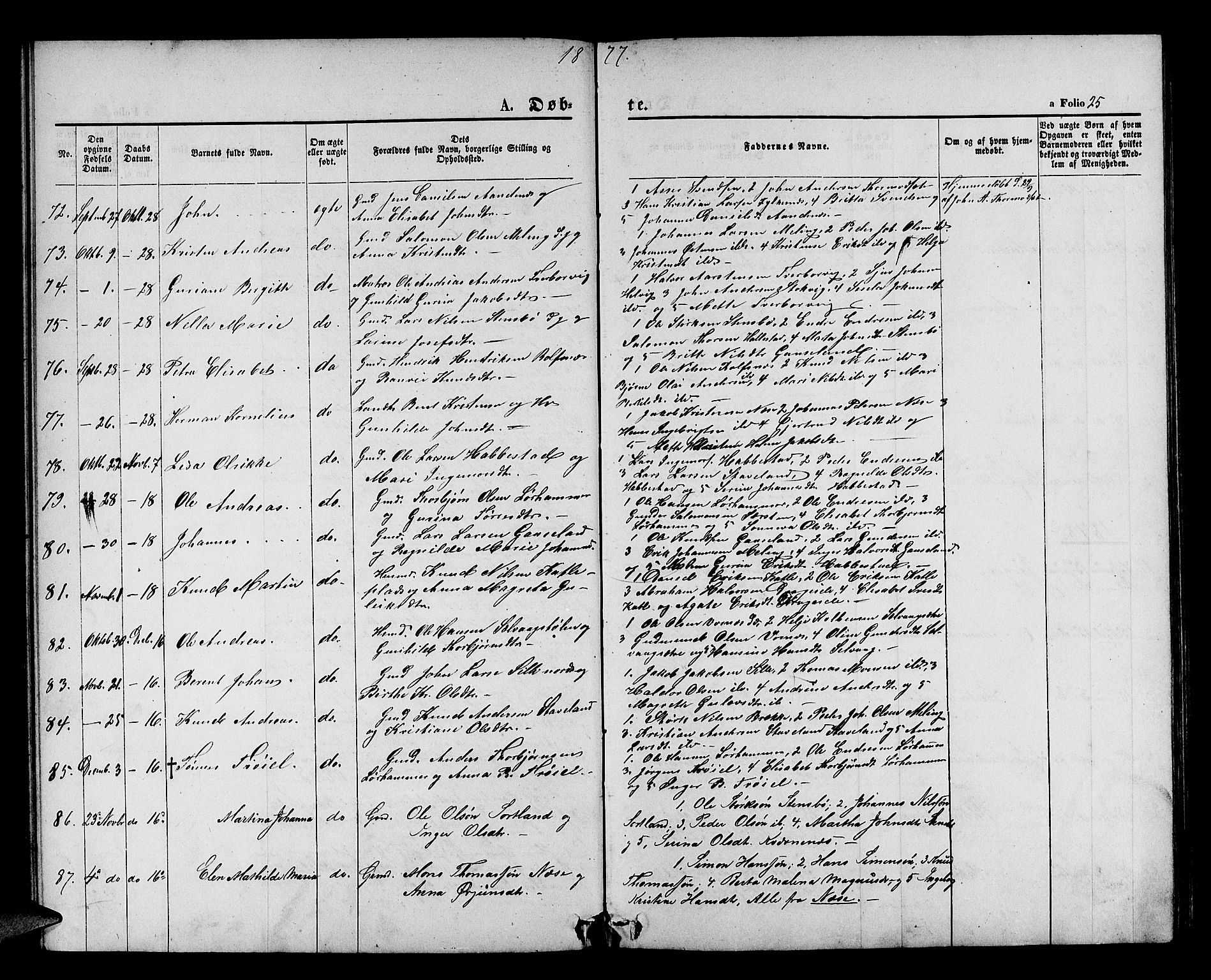 Finnås sokneprestembete, AV/SAB-A-99925/H/Ha/Hab/Habb/L0002: Parish register (copy) no. B 2, 1871-1881, p. 25