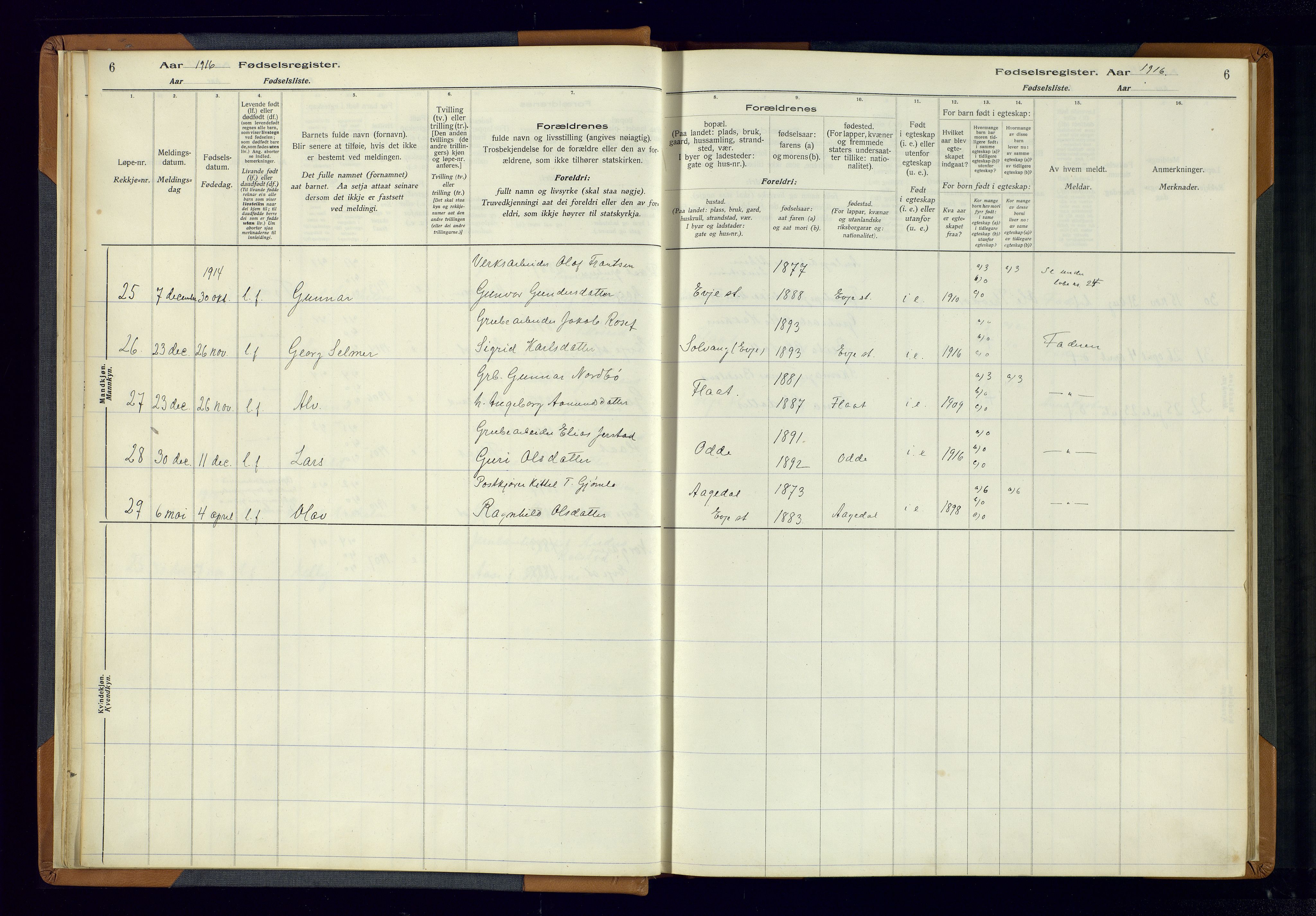 Evje sokneprestkontor, AV/SAK-1111-0008/J/Jc/L0004: Birth register no. 4, 1916-1968, p. 6