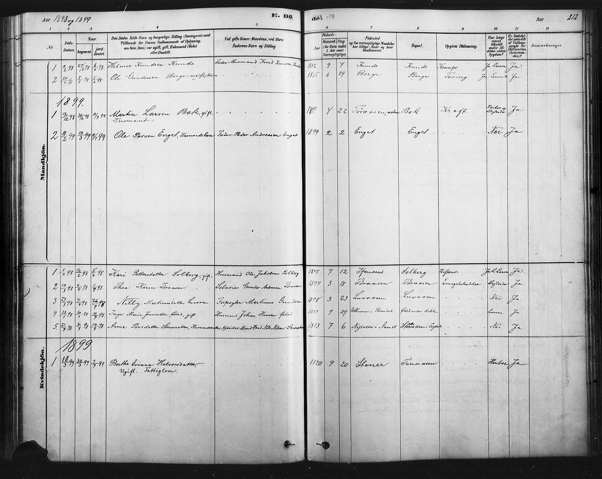 Åmot prestekontor, Hedmark, AV/SAH-PREST-056/H/Ha/Haa/L0012: Parish register (official) no. 12, 1878-1901, p. 212