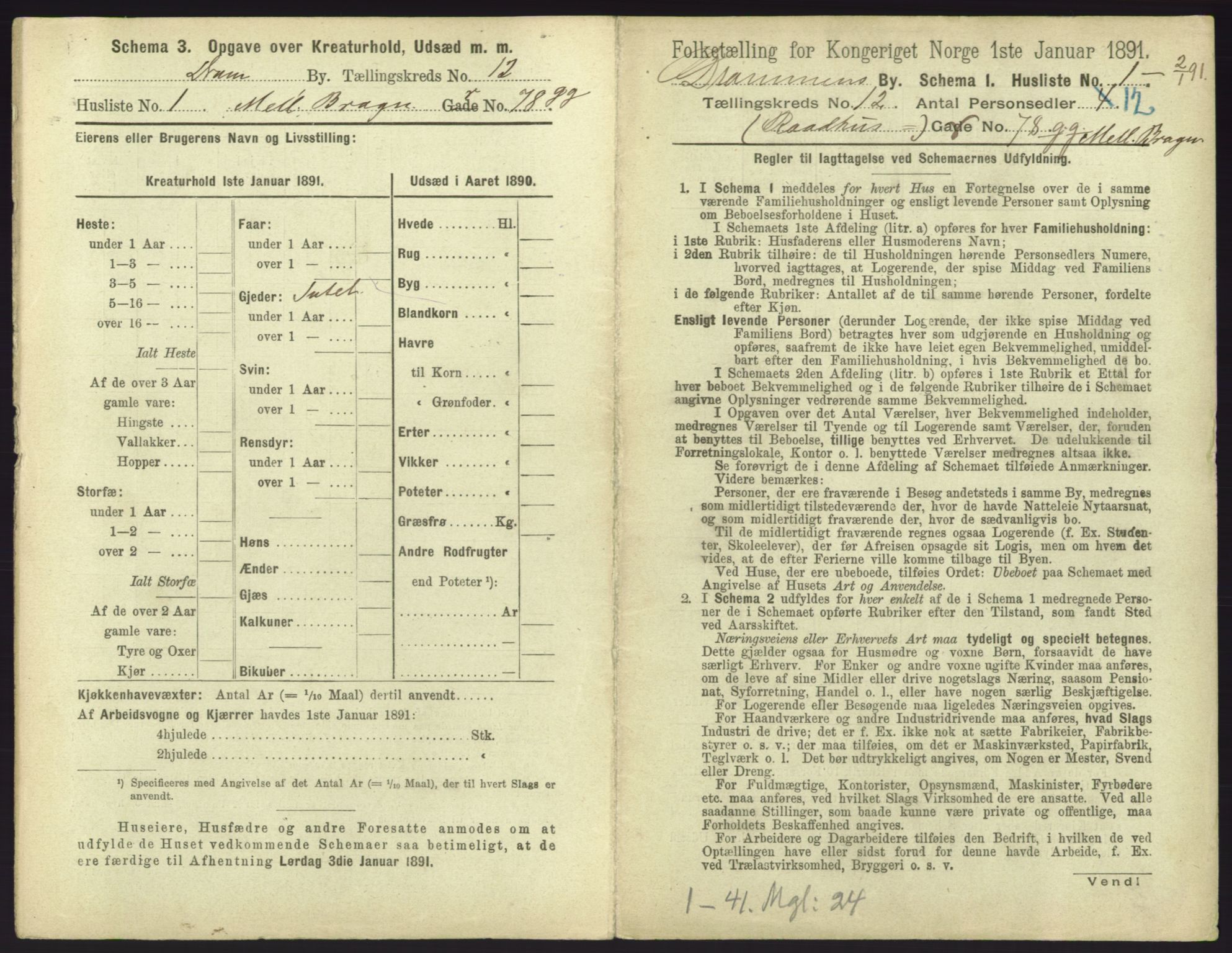 RA, 1891 census for 0602 Drammen, 1891, p. 991