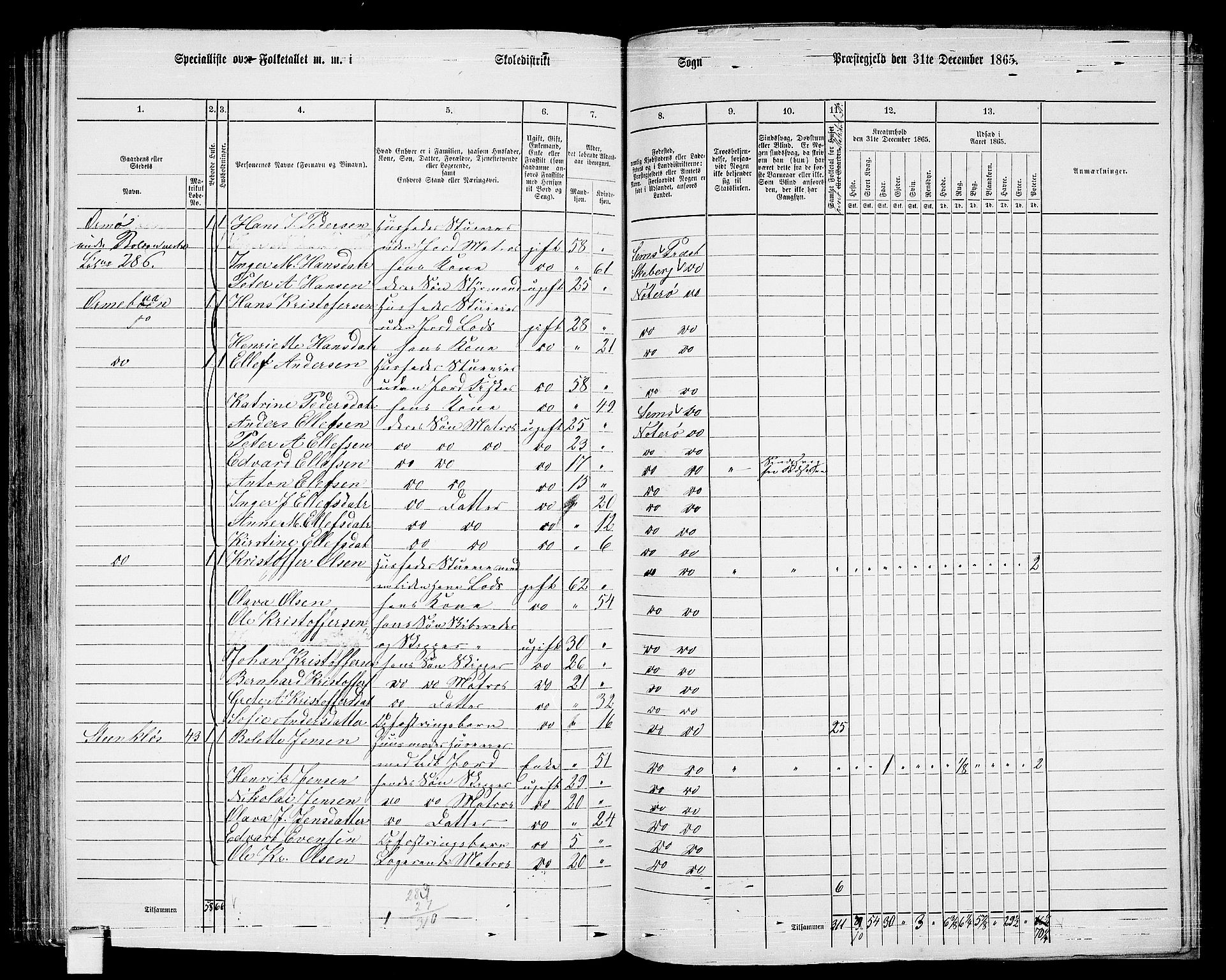 RA, 1865 census for Nøtterøy, 1865, p. 191