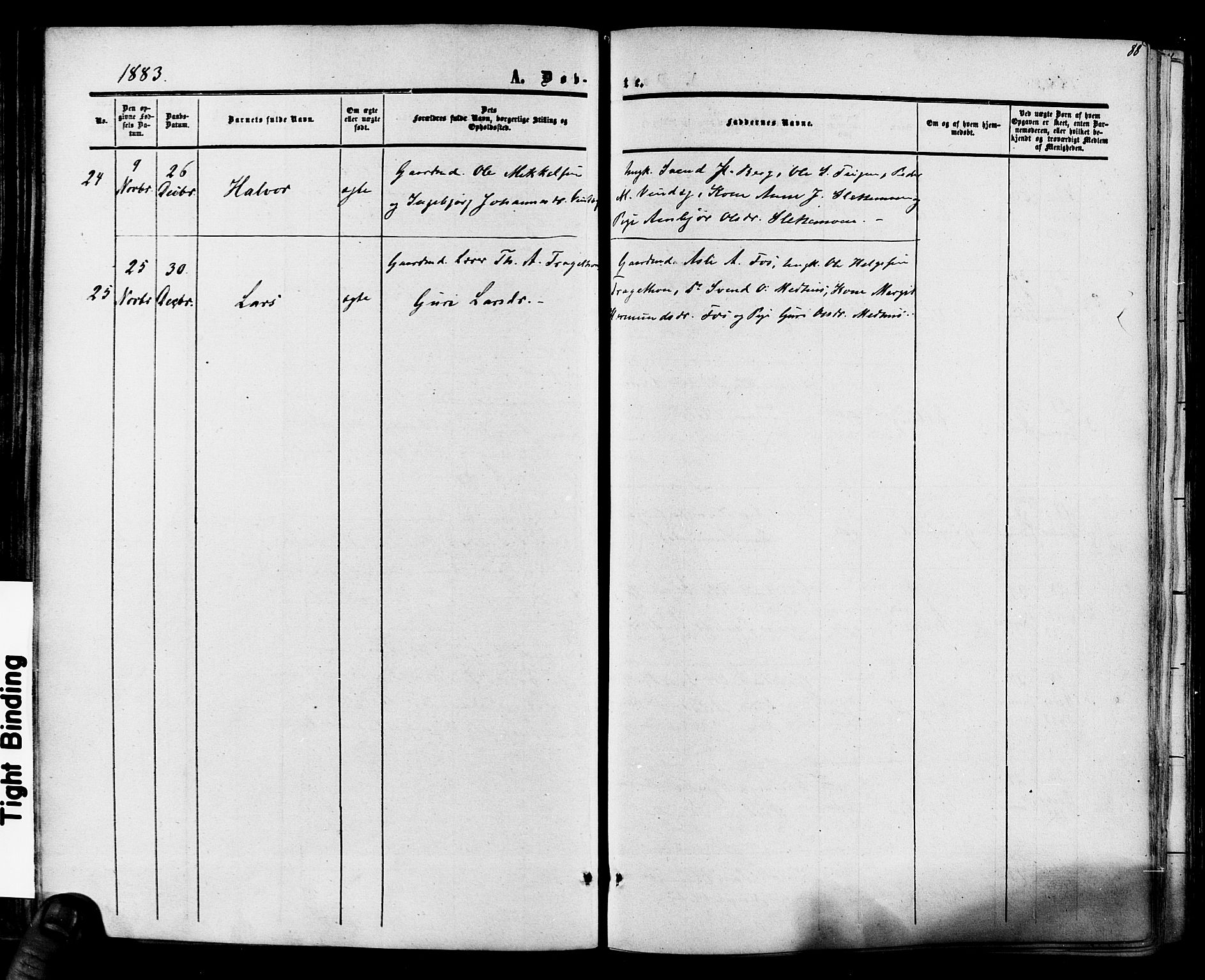 Hol kirkebøker, AV/SAKO-A-227/F/Fa/L0002: Parish register (official) no. I 2, 1870-1886, p. 88