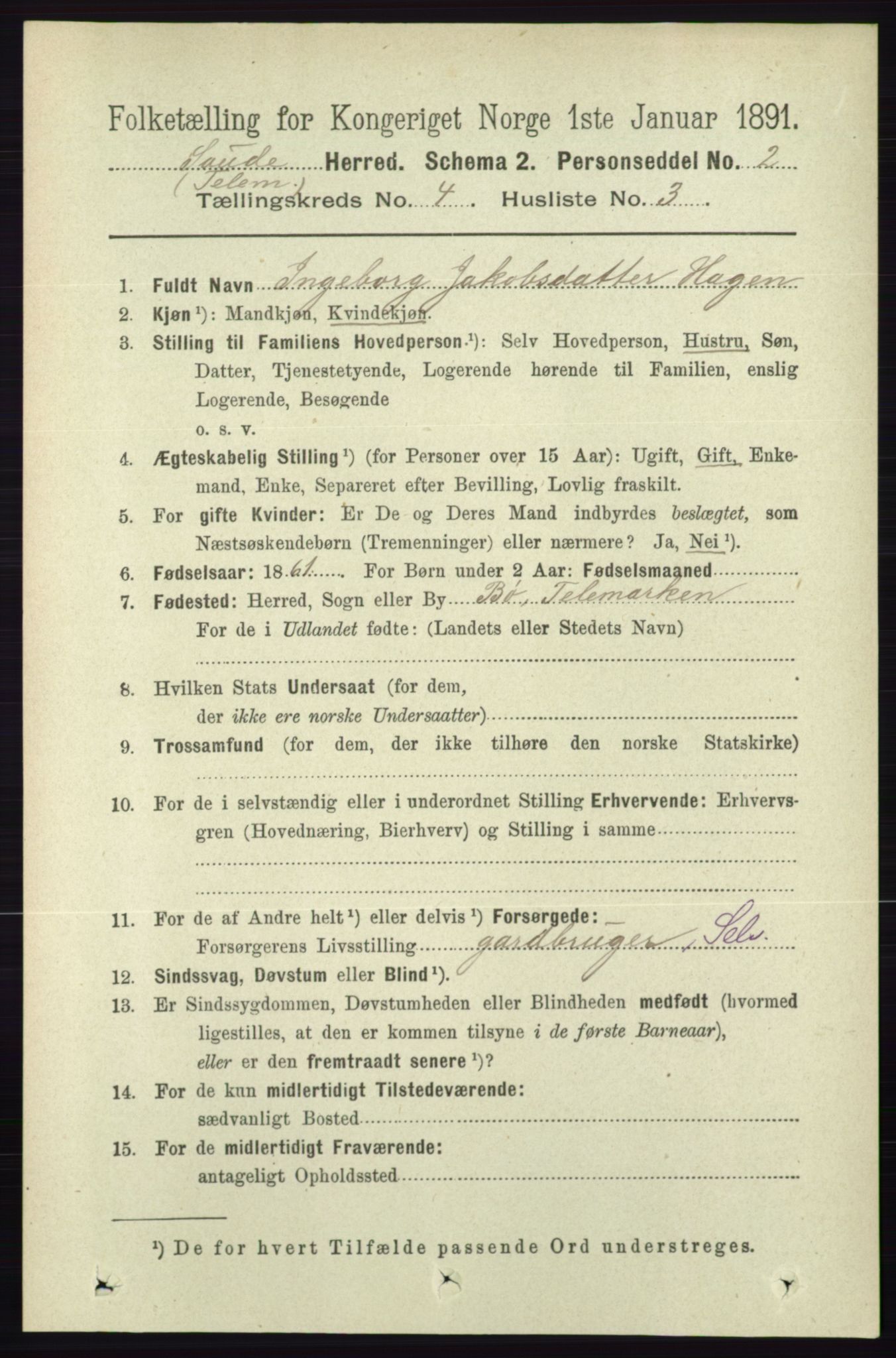 RA, 1891 census for 0822 Sauherad, 1891, p. 1107