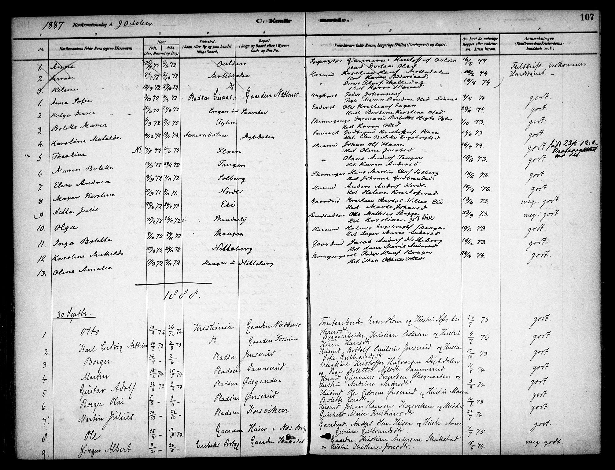 Aurskog prestekontor Kirkebøker, SAO/A-10304a/F/Fb/L0001: Parish register (official) no. II 1, 1878-1909, p. 107