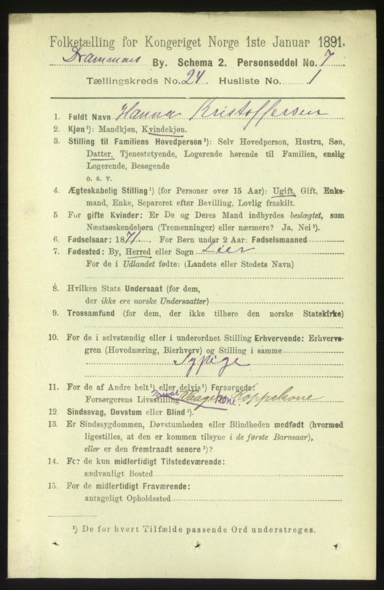 RA, 1891 census for 0602 Drammen, 1891, p. 14723