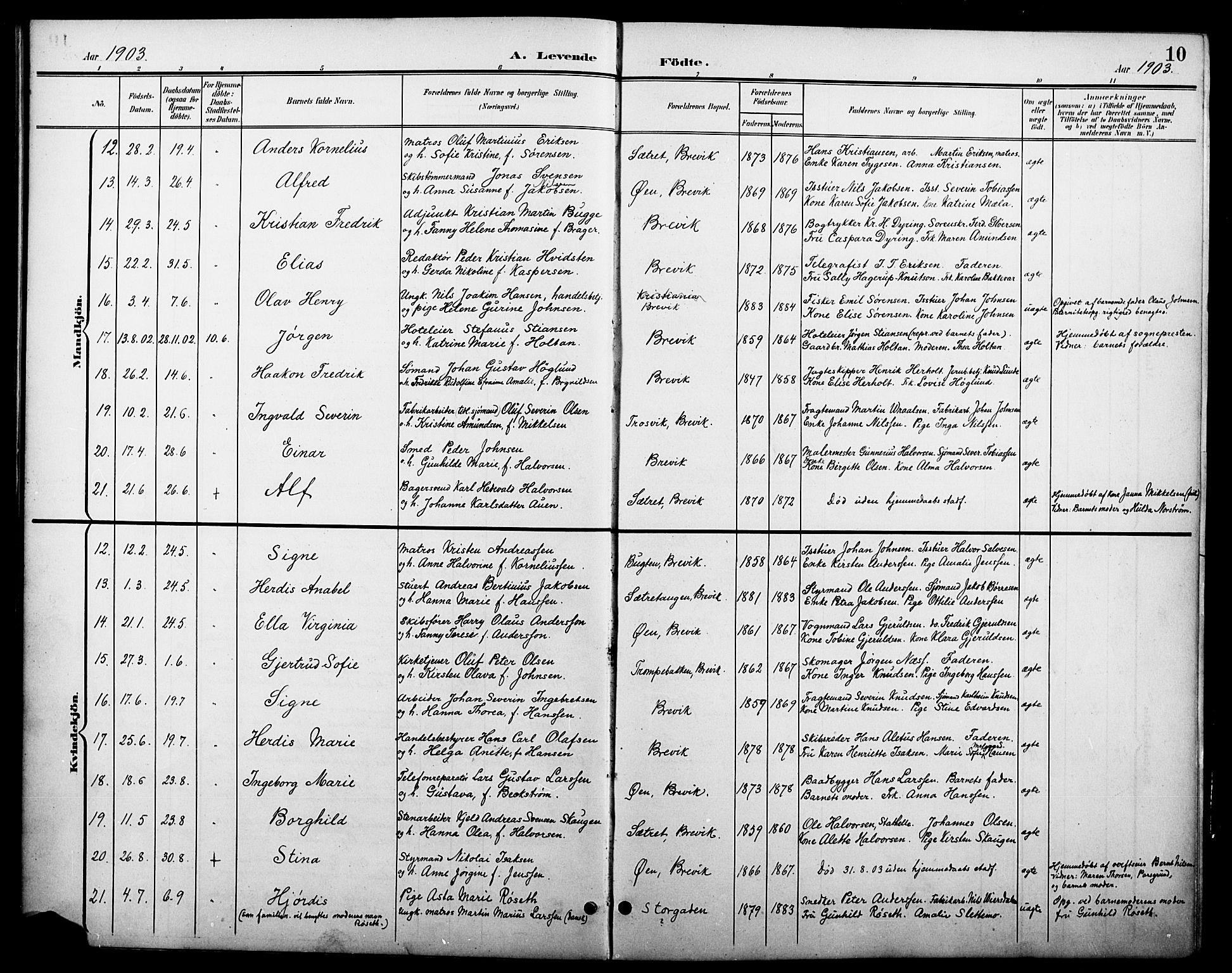 Brevik kirkebøker, SAKO/A-255/G/Ga/L0005: Parish register (copy) no. 5, 1901-1924, p. 10
