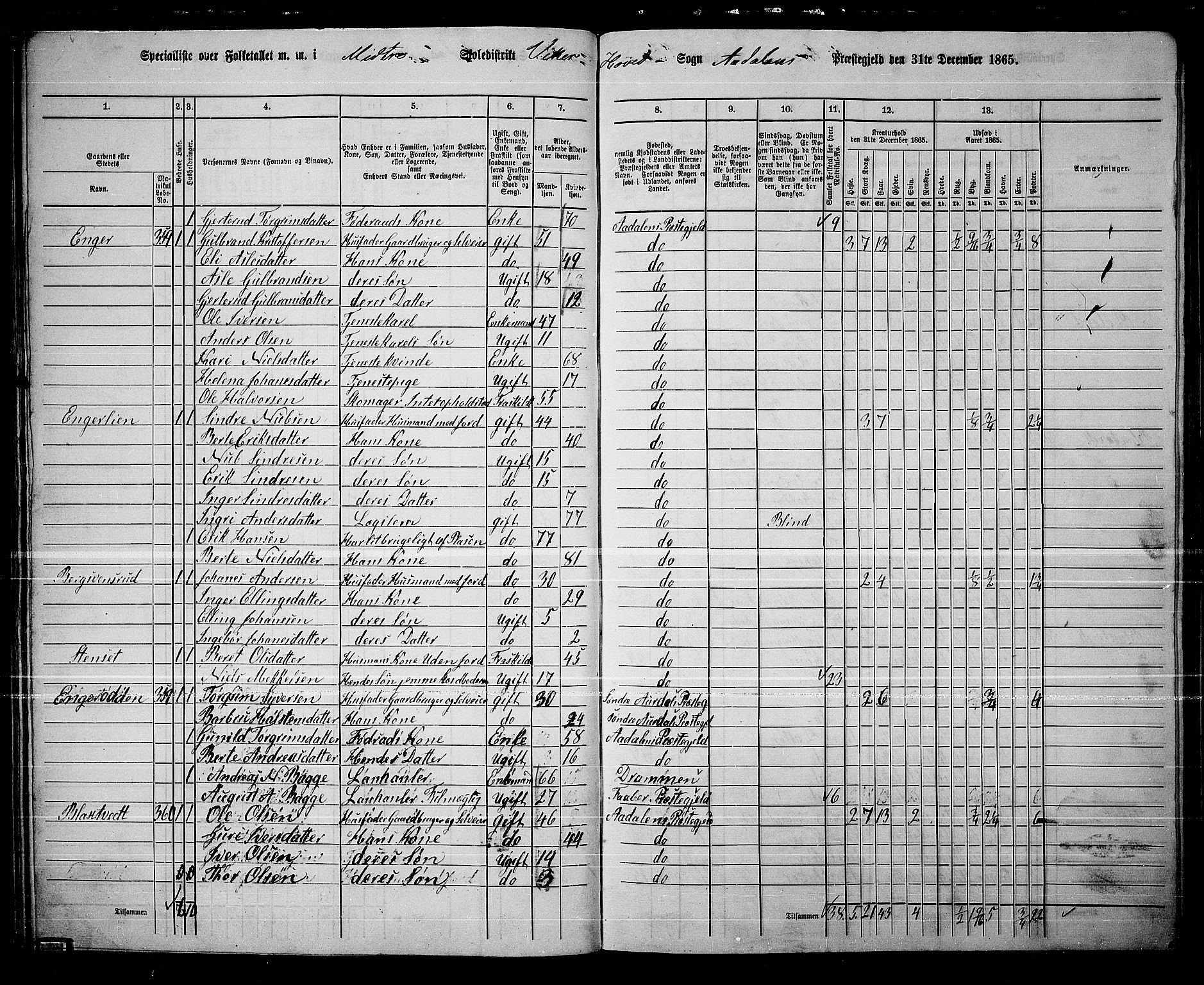 RA, 1865 census for Ådal, 1865, p. 41