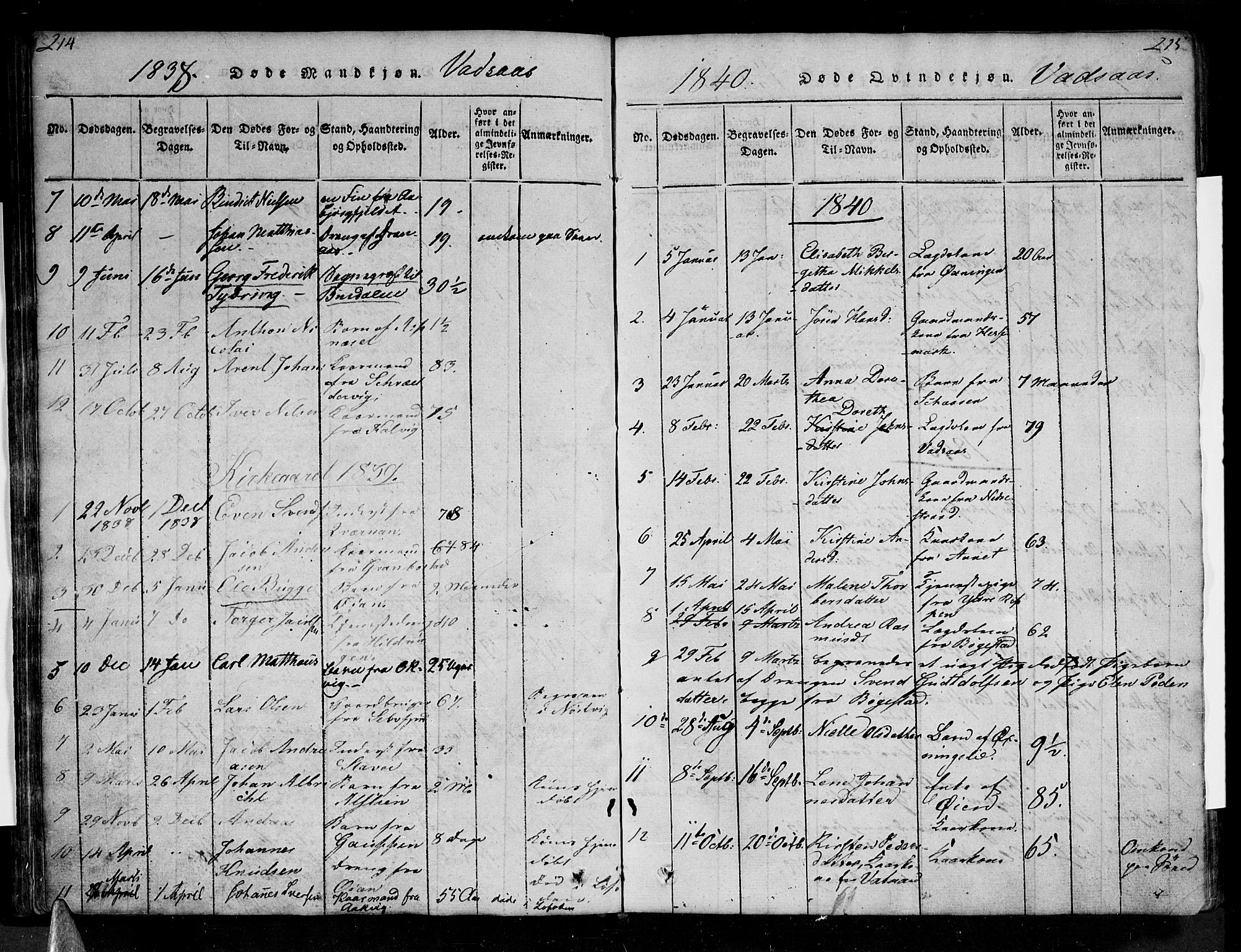 Ministerialprotokoller, klokkerbøker og fødselsregistre - Nordland, AV/SAT-A-1459/810/L0142: Parish register (official) no. 810A06 /1, 1819-1841, p. 214-215