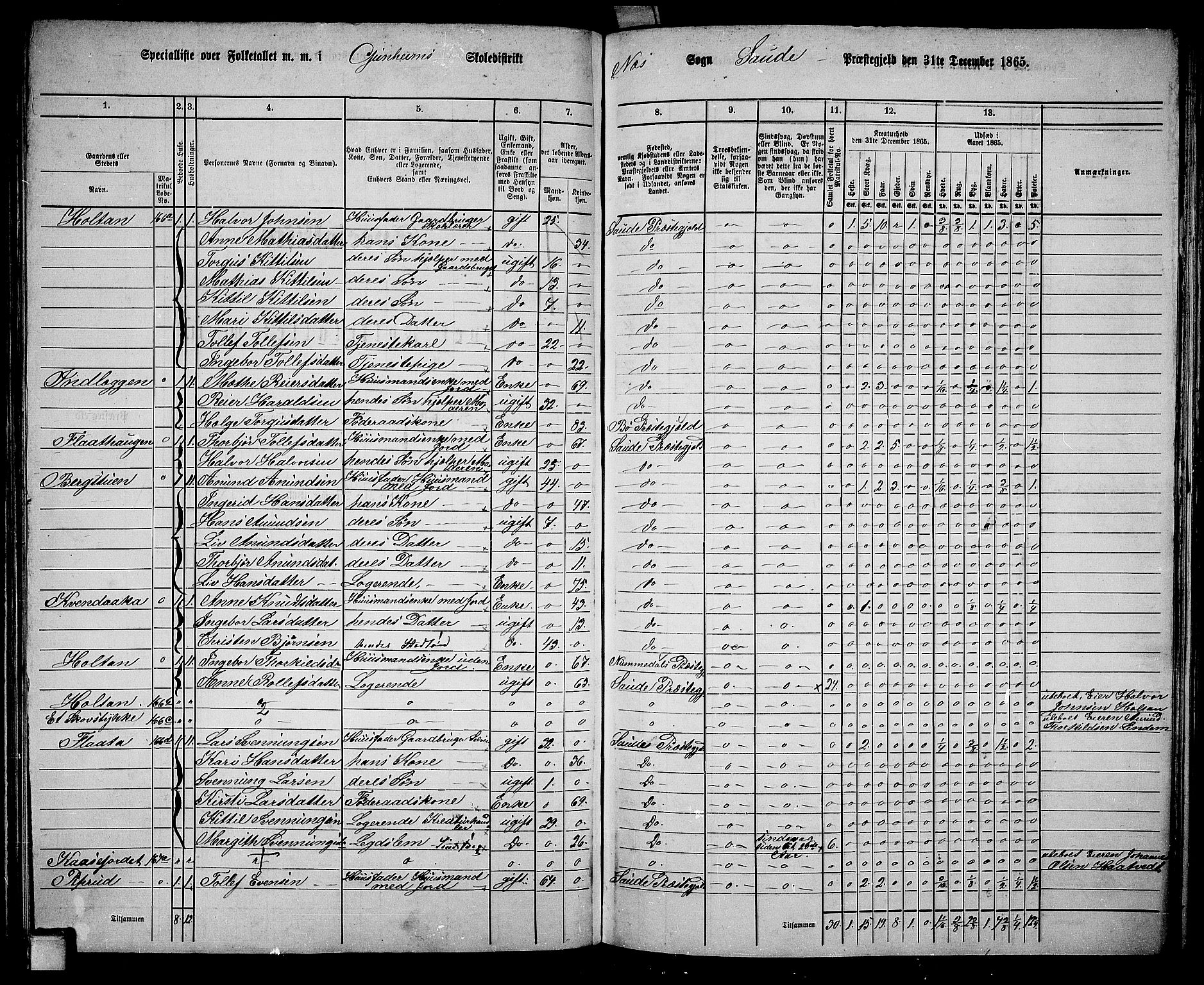 RA, 1865 census for Sauherad, 1865, p. 111