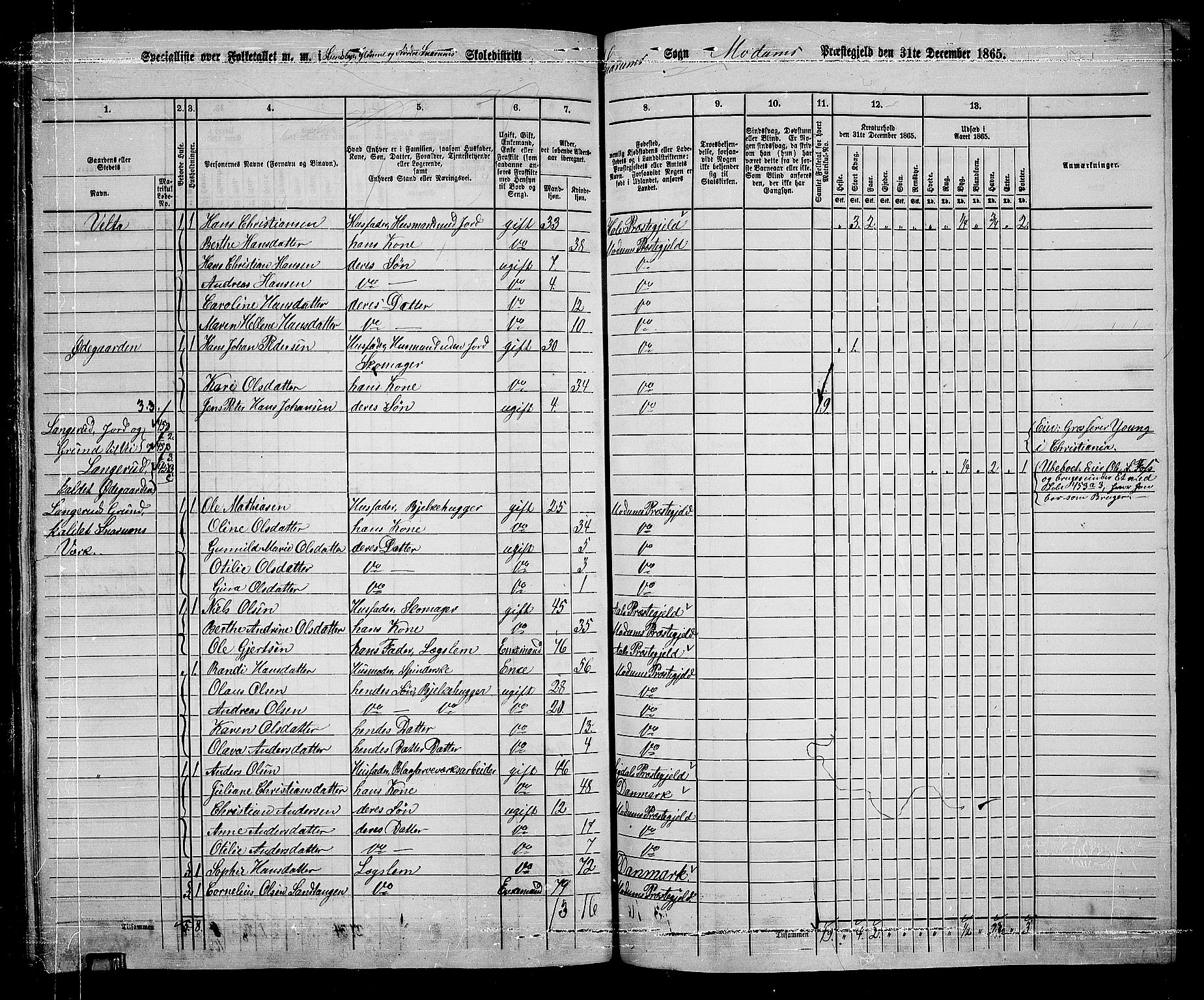 RA, 1865 census for Modum, 1865, p. 320