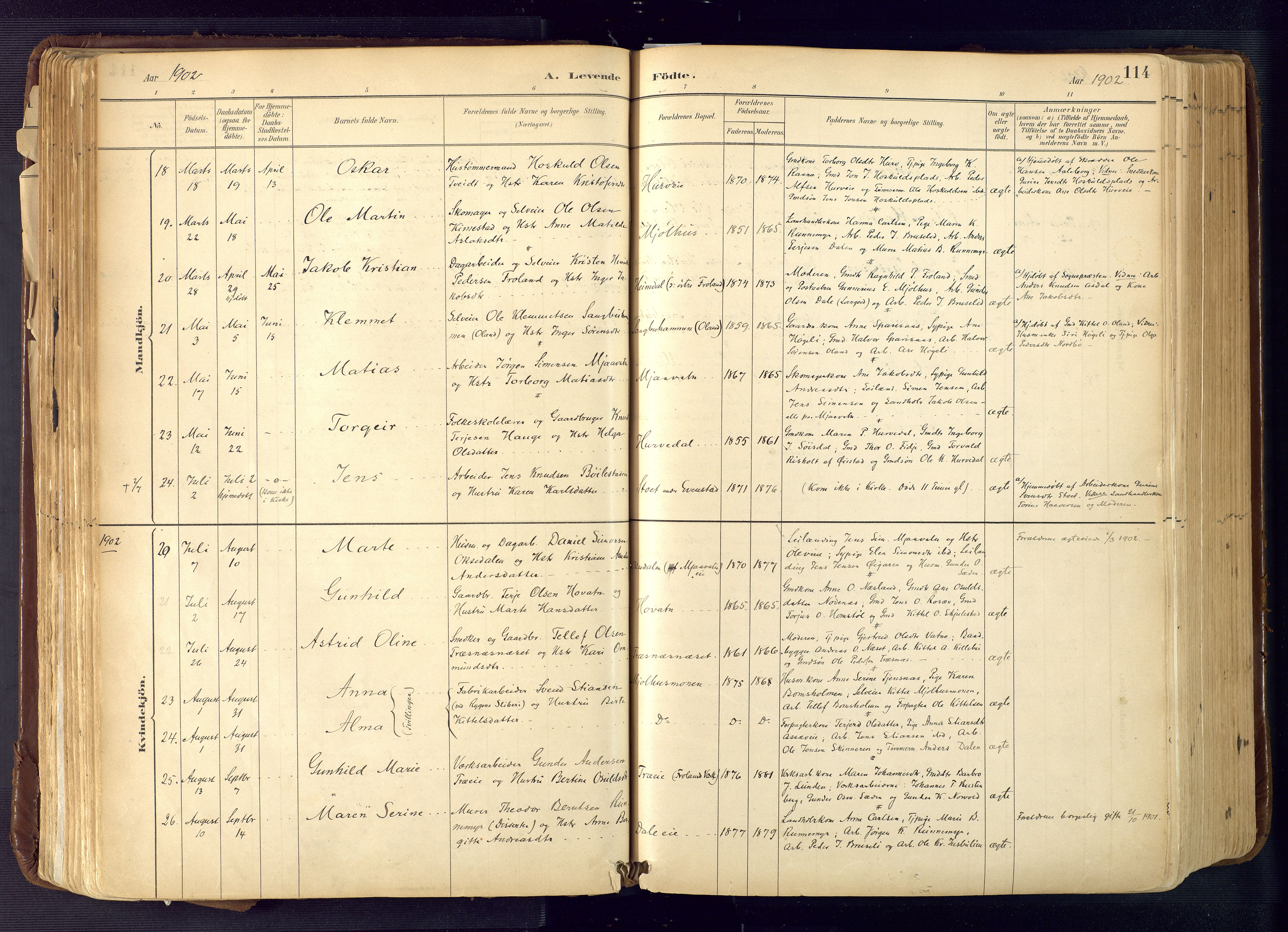 Froland sokneprestkontor, AV/SAK-1111-0013/F/Fa/L0005: Parish register (official) no. A 5, 1882-1921, p. 114