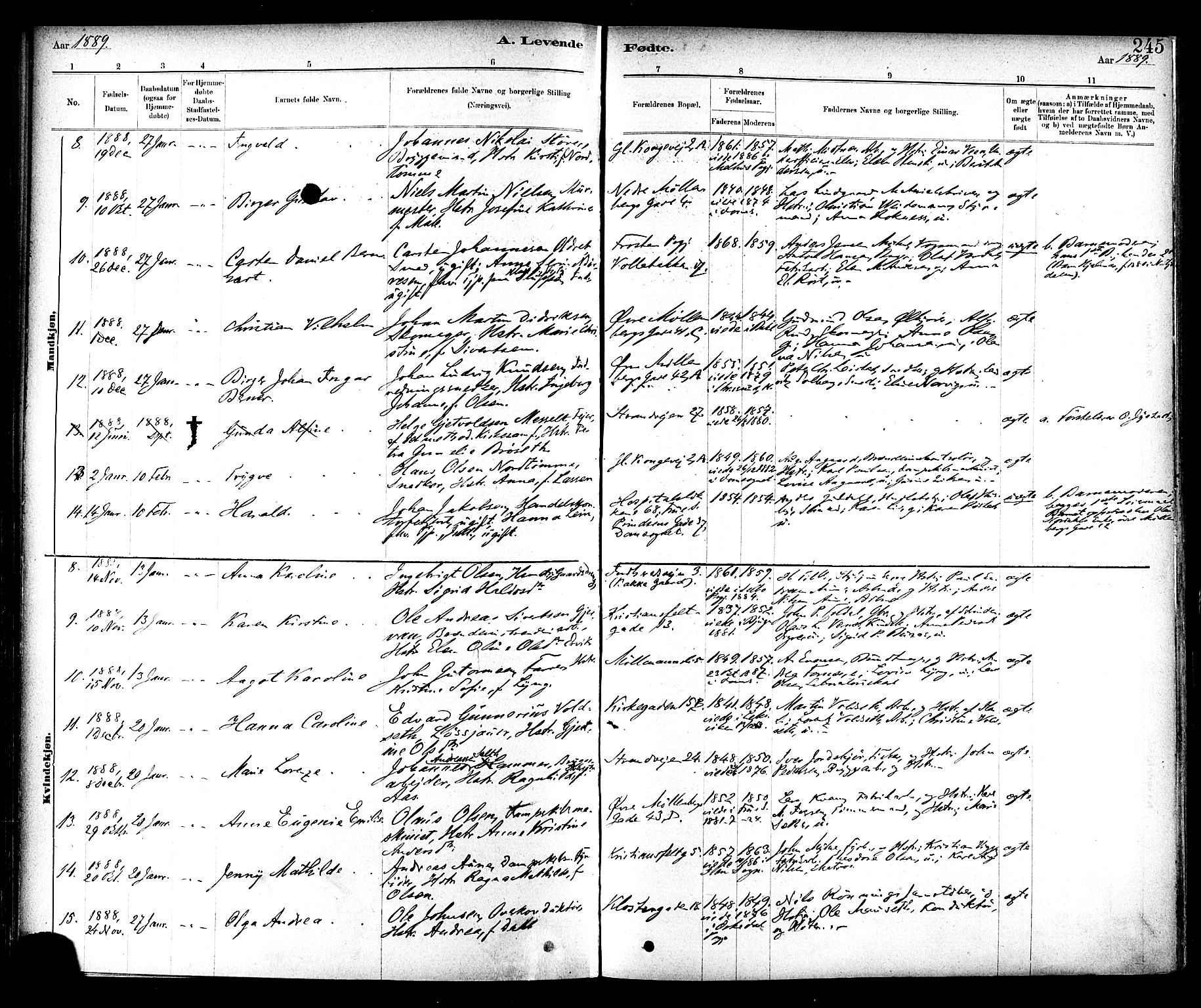 Ministerialprotokoller, klokkerbøker og fødselsregistre - Sør-Trøndelag, SAT/A-1456/604/L0188: Parish register (official) no. 604A09, 1878-1892, p. 245