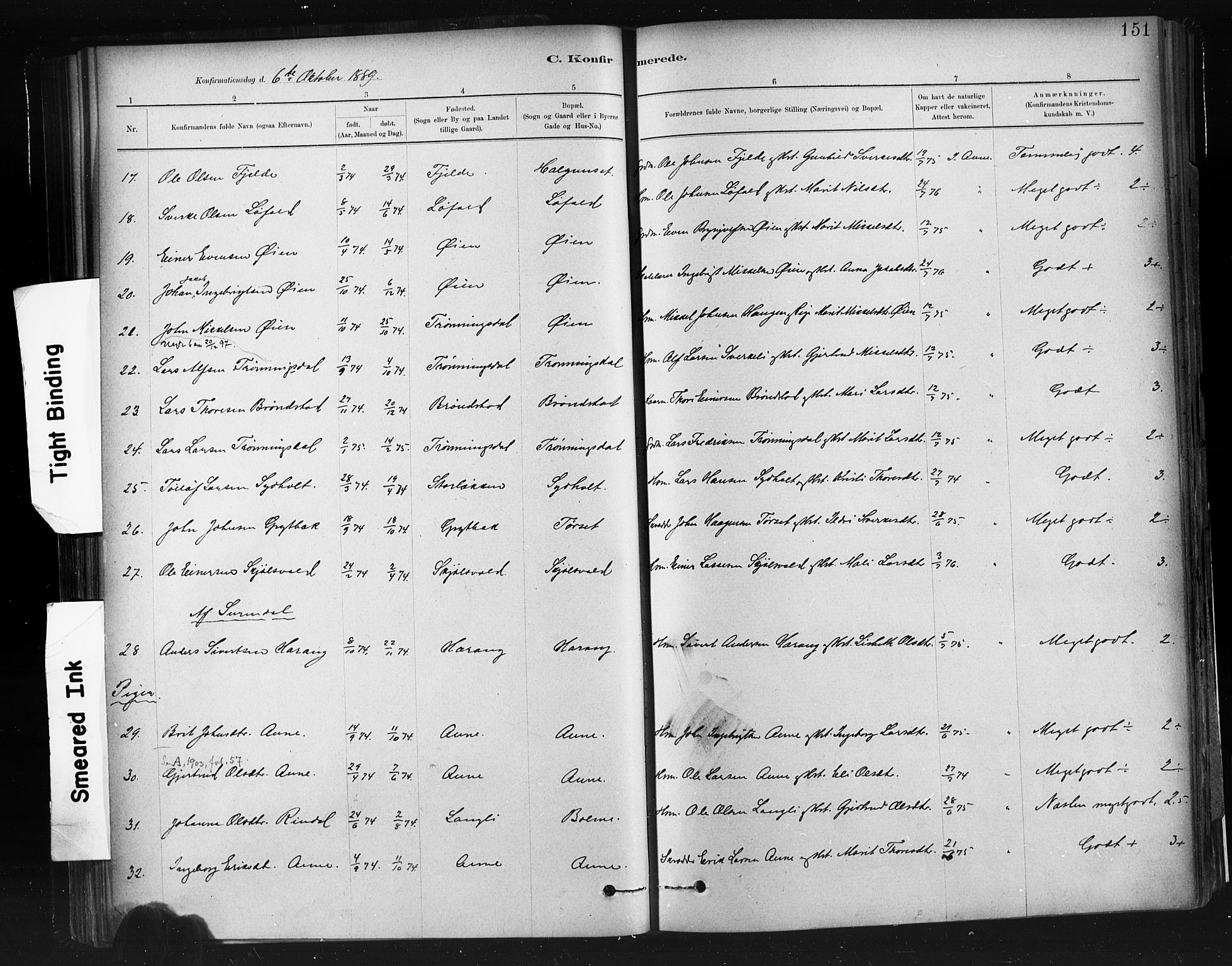 Ministerialprotokoller, klokkerbøker og fødselsregistre - Møre og Romsdal, AV/SAT-A-1454/598/L1069: Parish register (official) no. 598A03, 1882-1895, p. 151