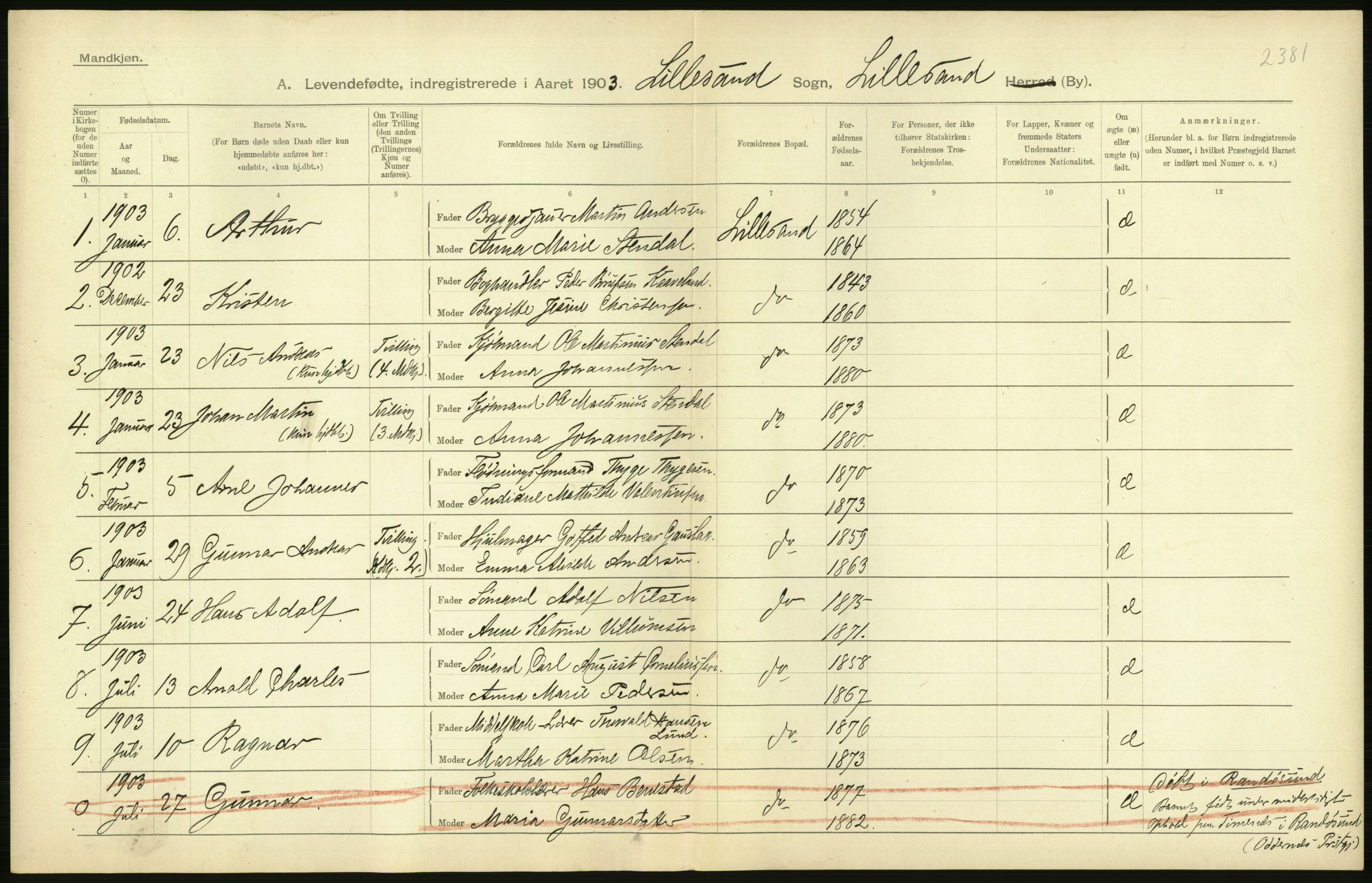 Statistisk sentralbyrå, Sosiodemografiske emner, Befolkning, AV/RA-S-2228/D/Df/Dfa/Dfaa/L0010: Nedenes amt: Fødte, gifte, døde, 1903, p. 202