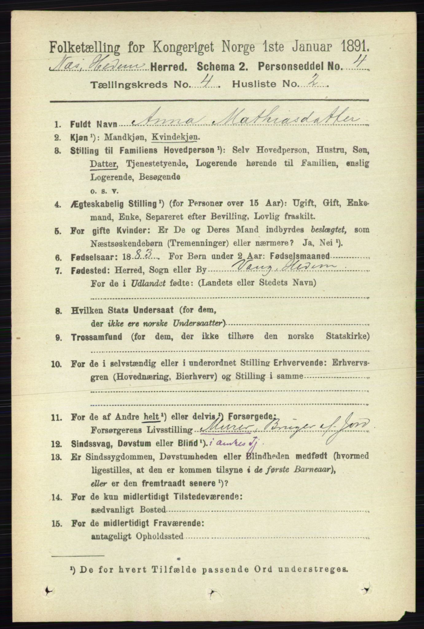 RA, 1891 census for 0411 Nes, 1891, p. 2051