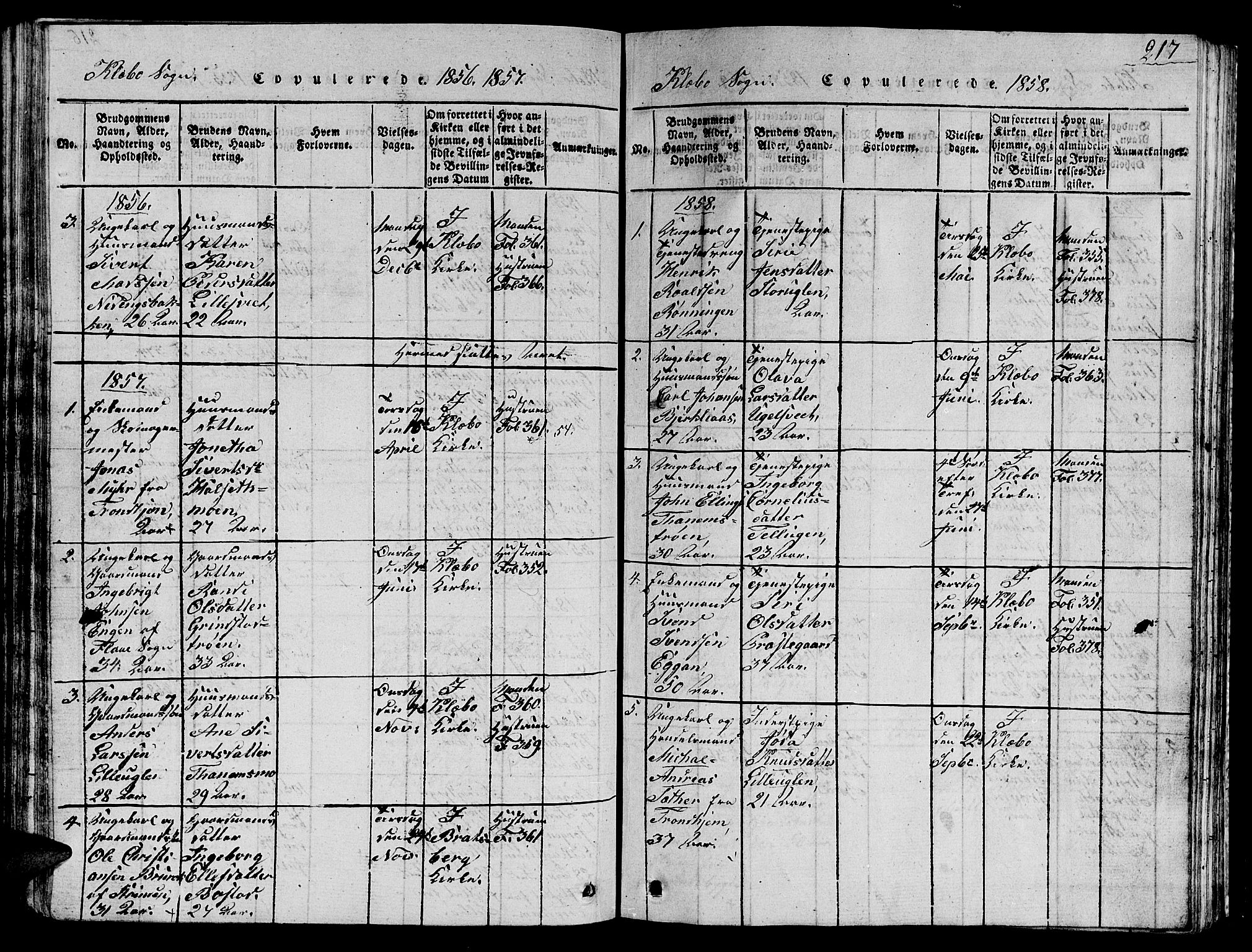 Ministerialprotokoller, klokkerbøker og fødselsregistre - Sør-Trøndelag, SAT/A-1456/618/L0450: Parish register (copy) no. 618C01, 1816-1865, p. 217