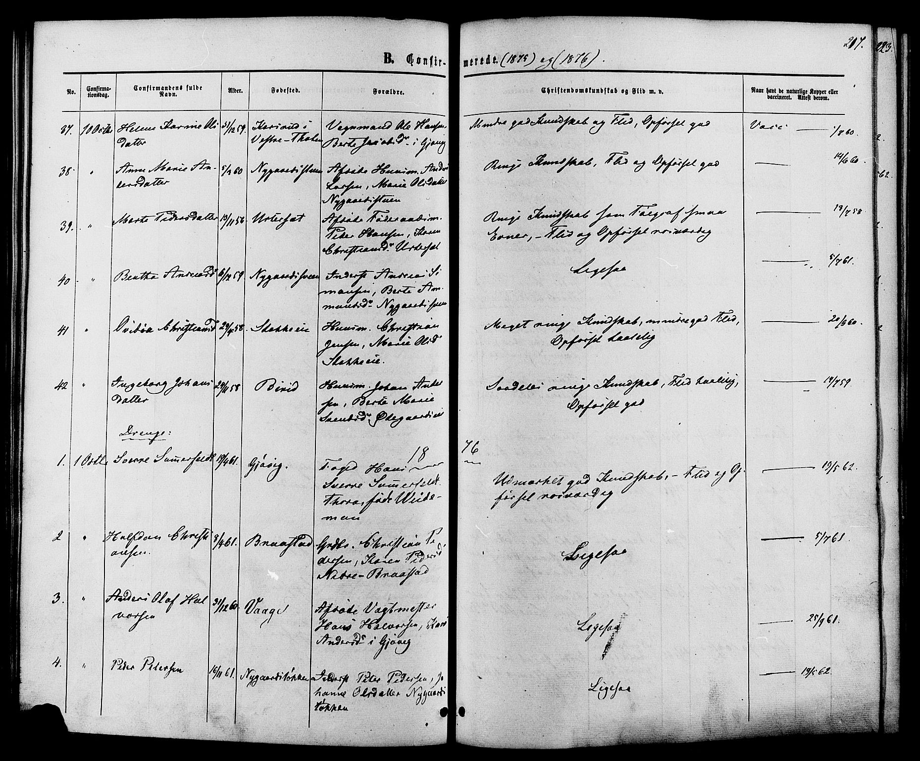 Vardal prestekontor, SAH/PREST-100/H/Ha/Haa/L0007: Parish register (official) no. 7, 1867-1878, p. 217