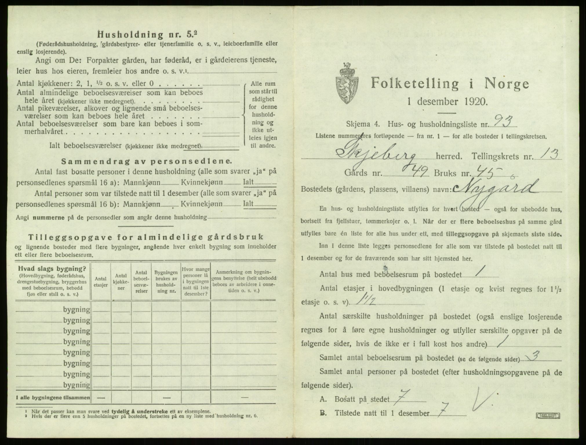 SAO, 1920 census for Skjeberg, 1920, p. 1917