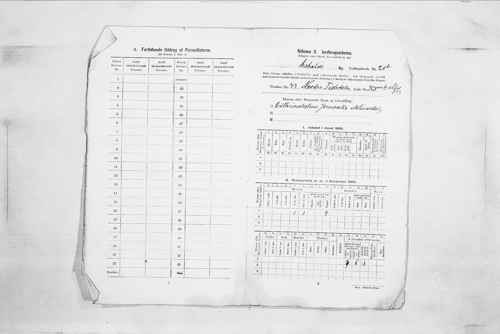 SAO, 1900 census for Fredrikshald, 1900