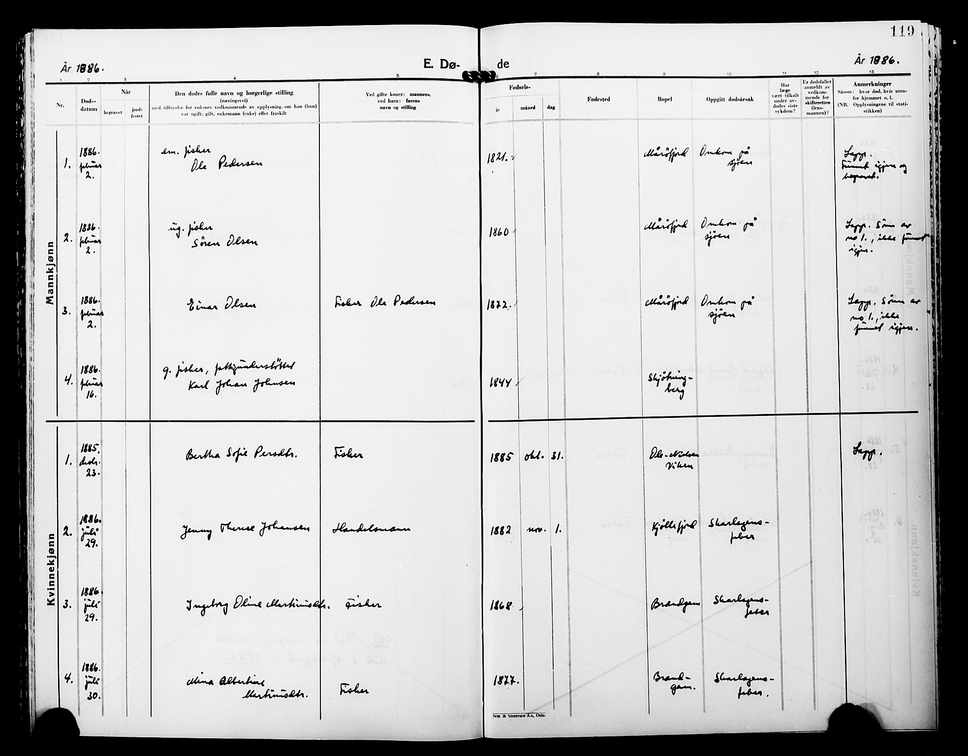 Lebesby sokneprestkontor, AV/SATØ-S-1353/H/Ha/L0005kirke: Parish register (official) no. 5, 1870-1902, p. 119